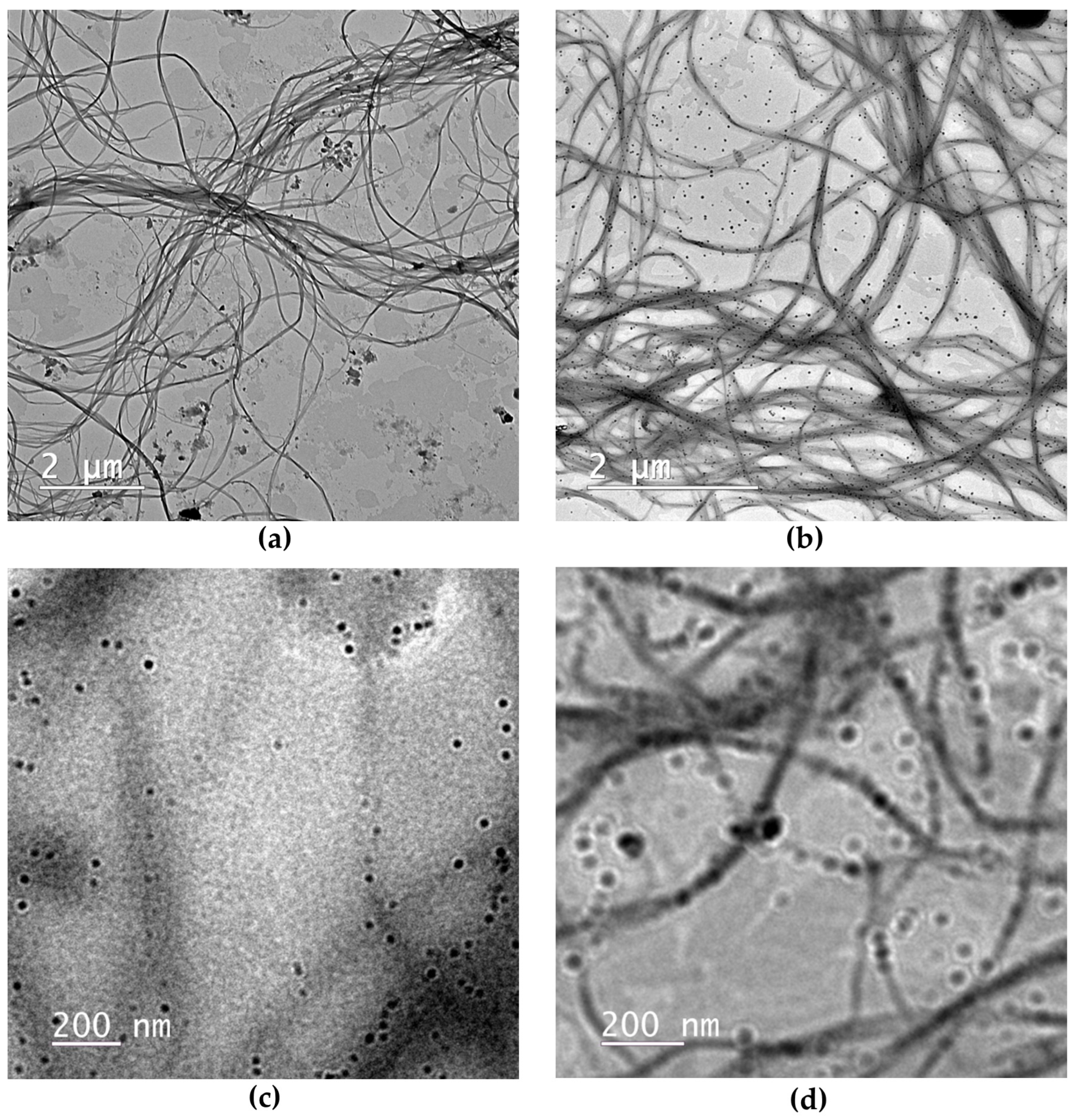 Pharmaceuticals 16 01671 g002