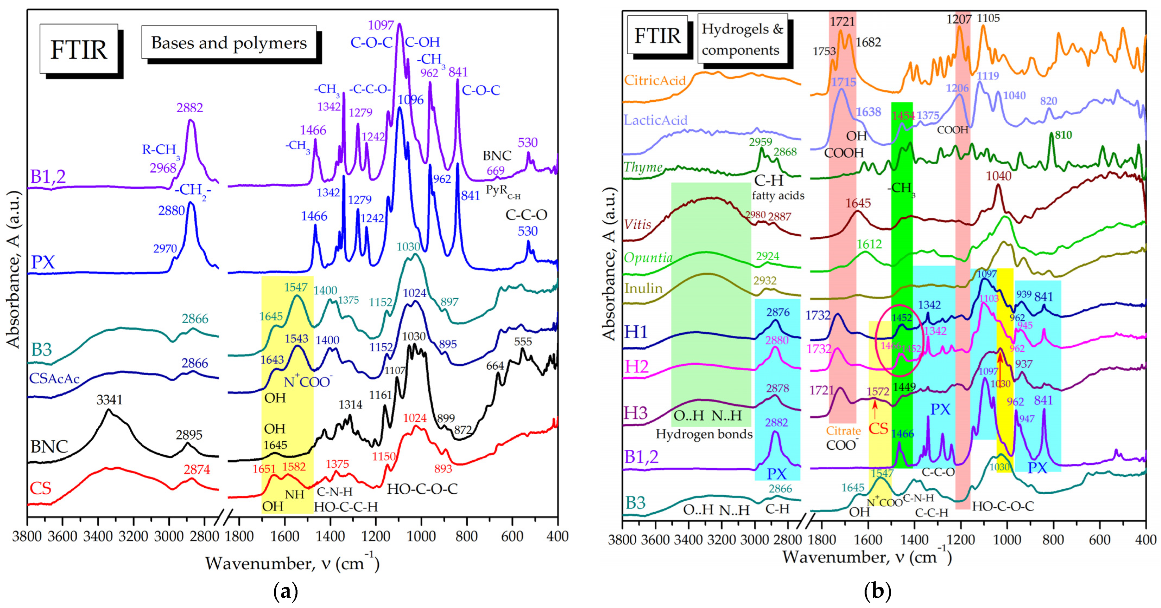 Pharmaceuticals 16 01671 g003