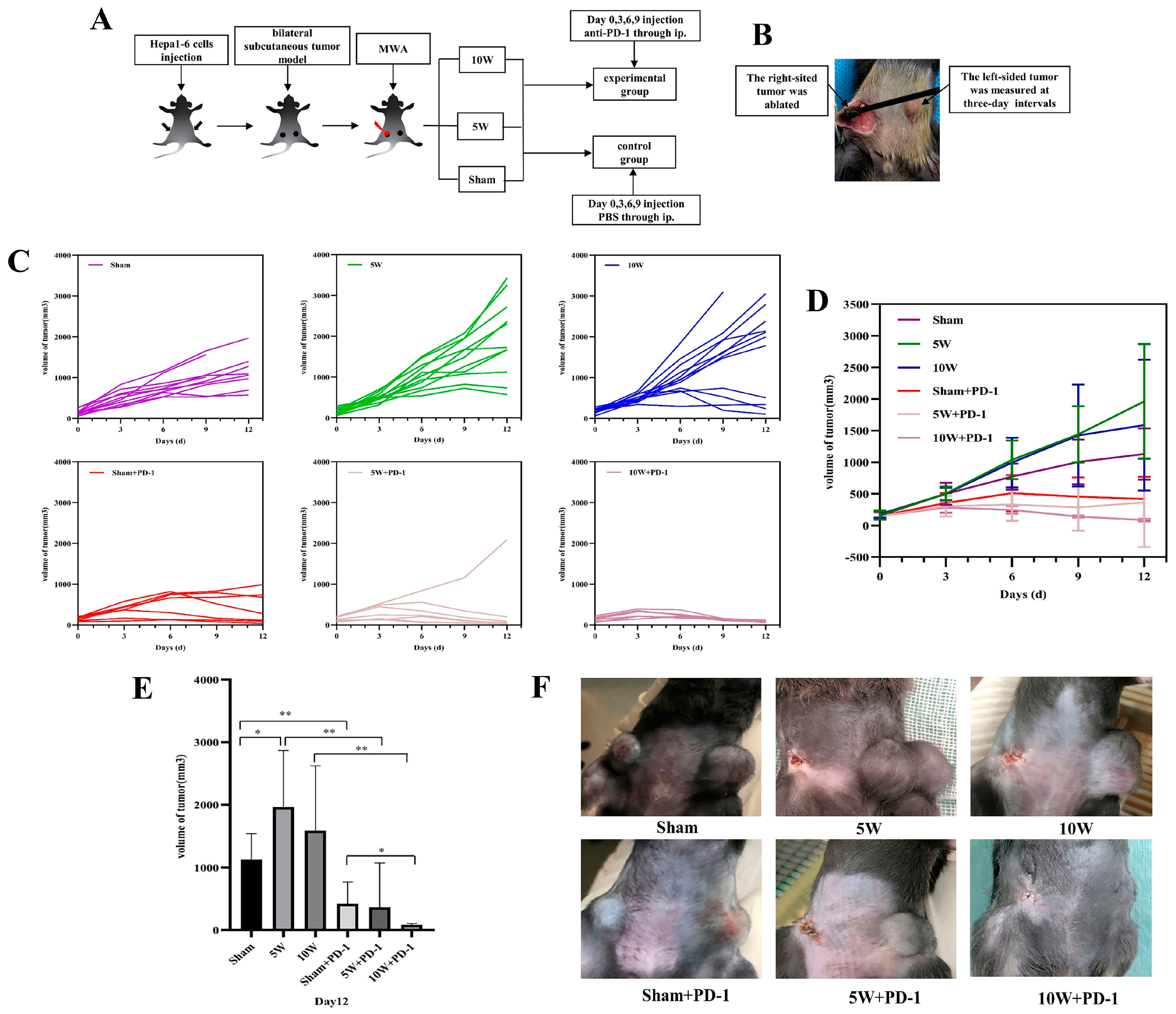 Pharmaceuticals 16 01672 g001