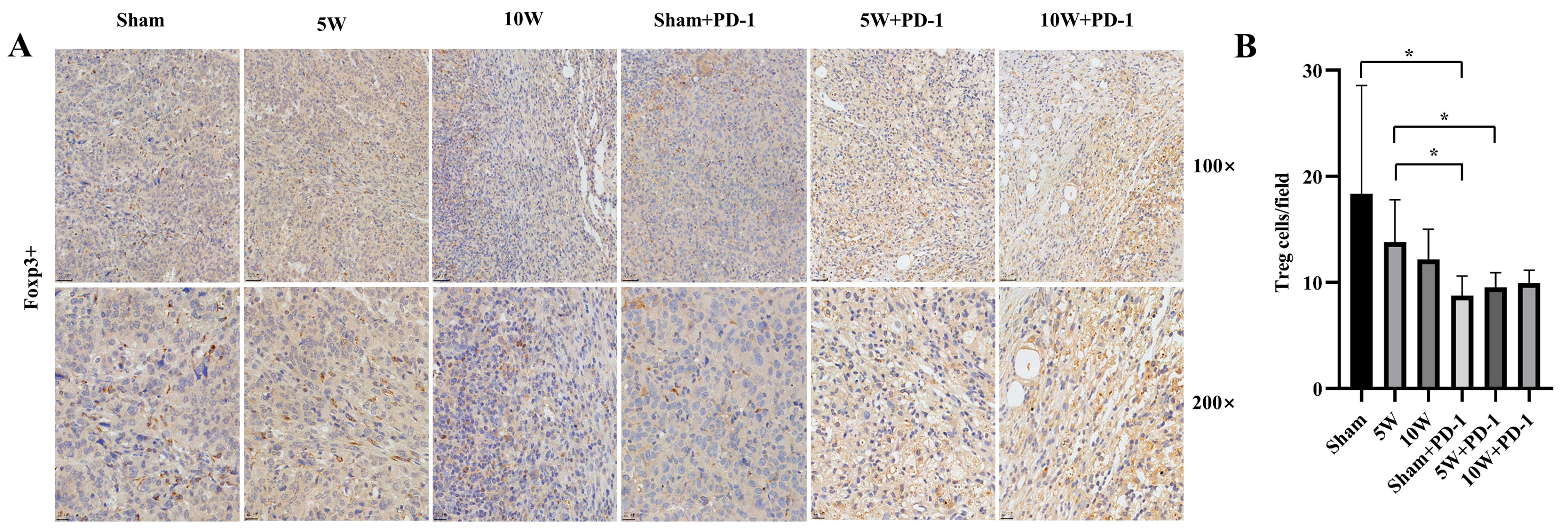 Pharmaceuticals 16 01672 g003