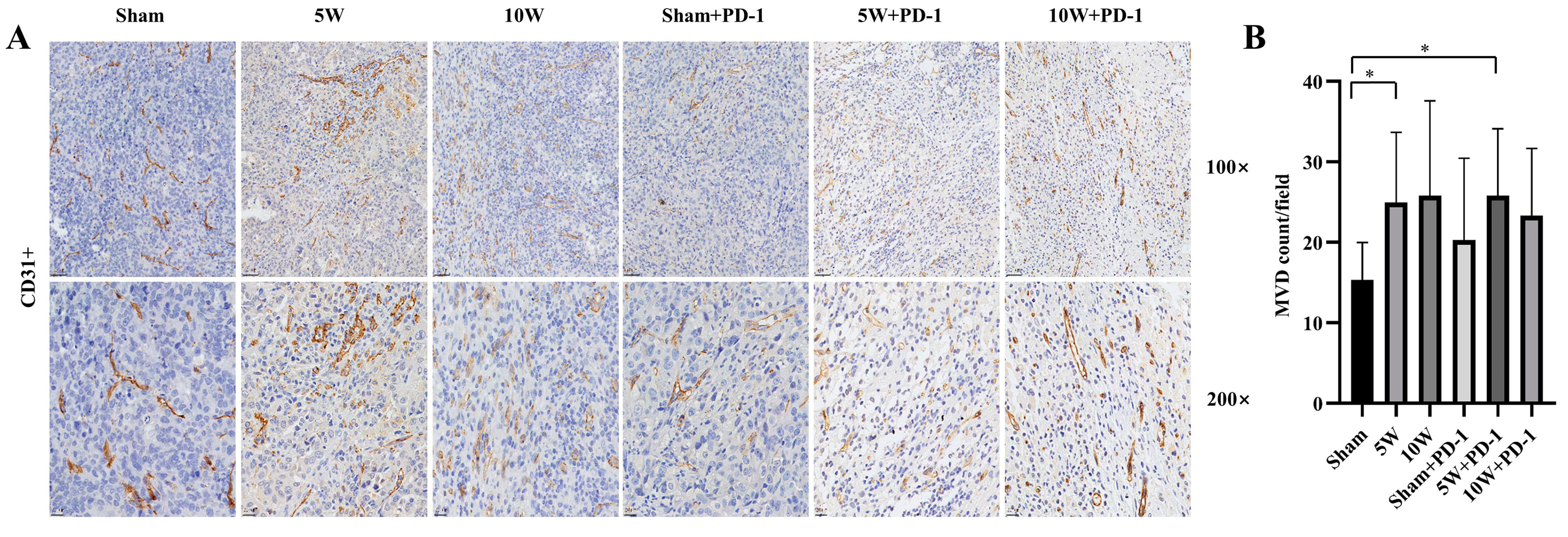 Pharmaceuticals 16 01672 g004