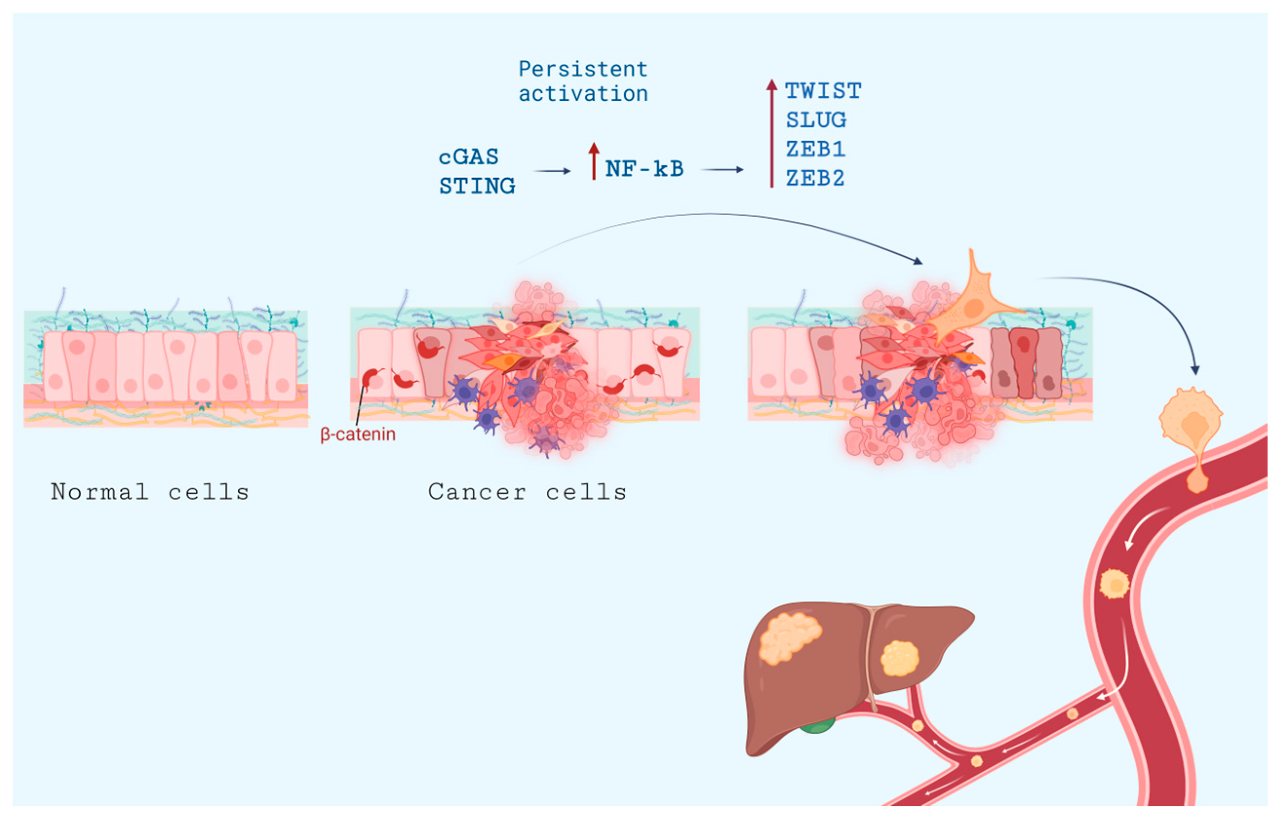 Pharmaceuticals 16 01675 g005