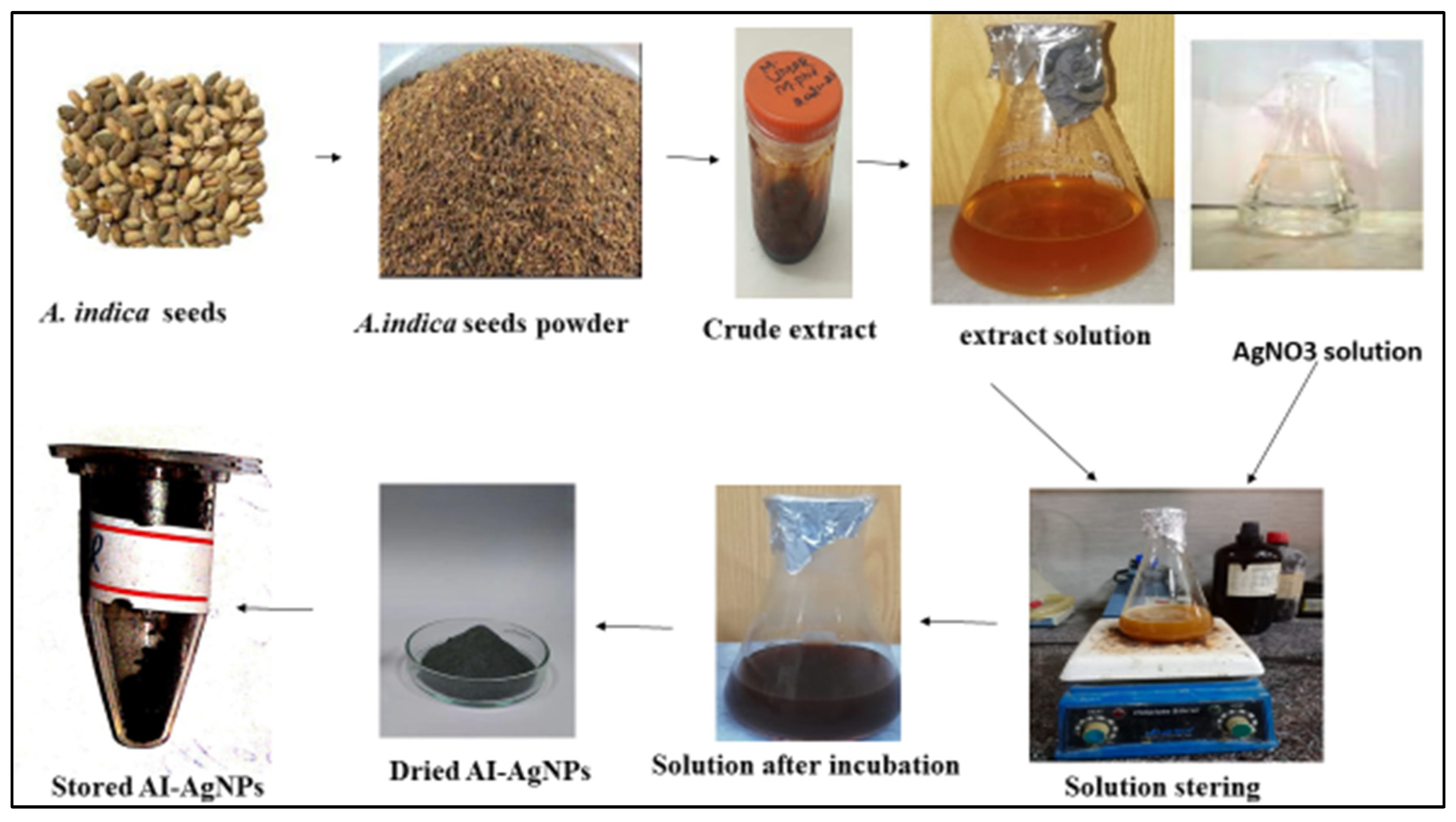 Pharmaceuticals 16 01677 g001