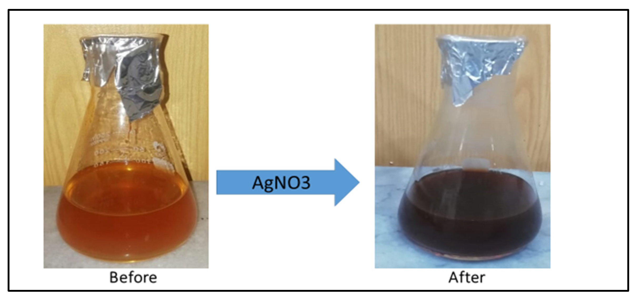 Pharmaceuticals 16 01677 g002