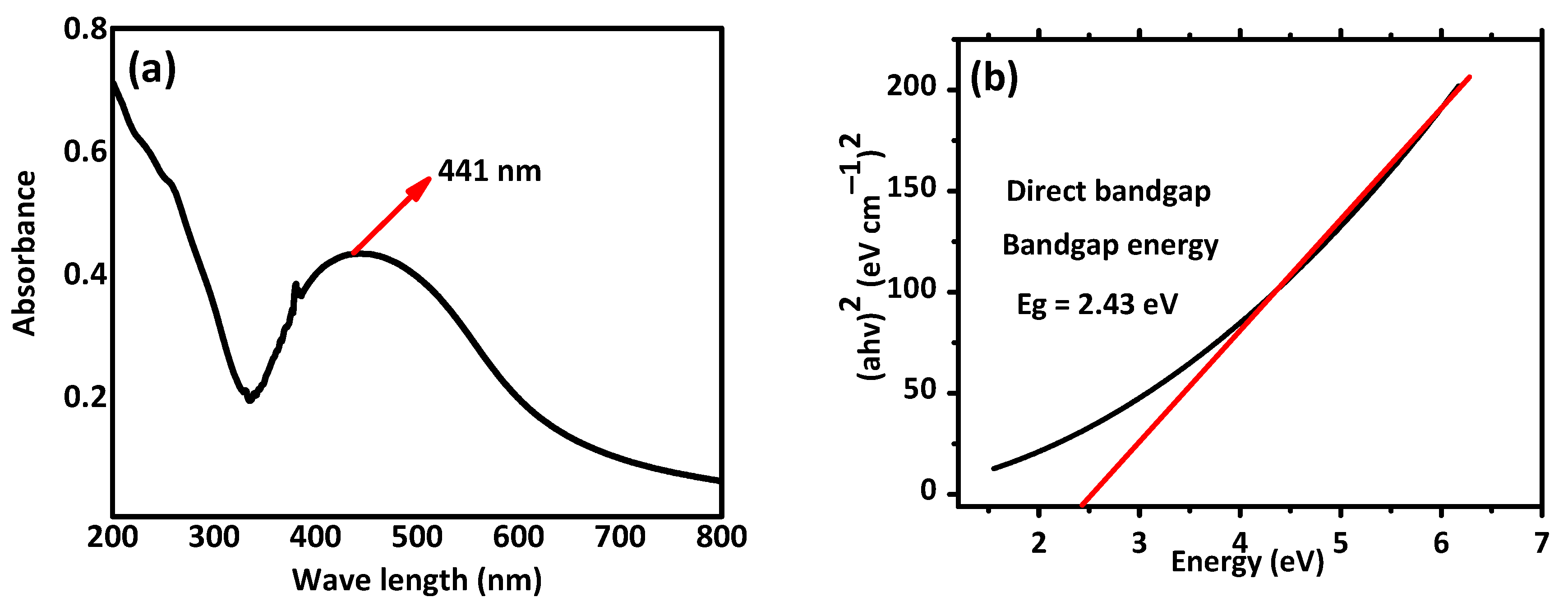 Pharmaceuticals 16 01677 g003