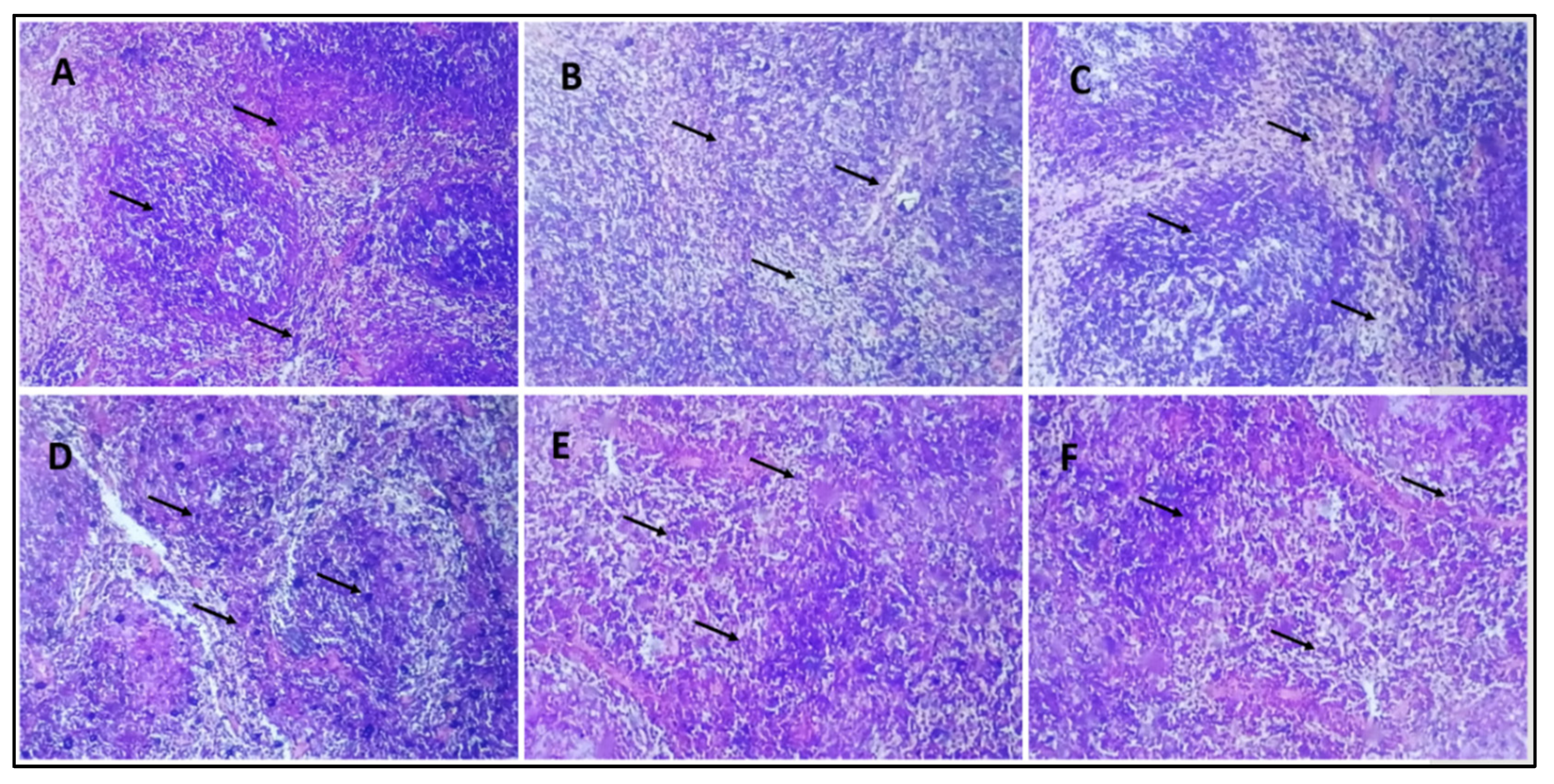 Pharmaceuticals 16 01677 g007