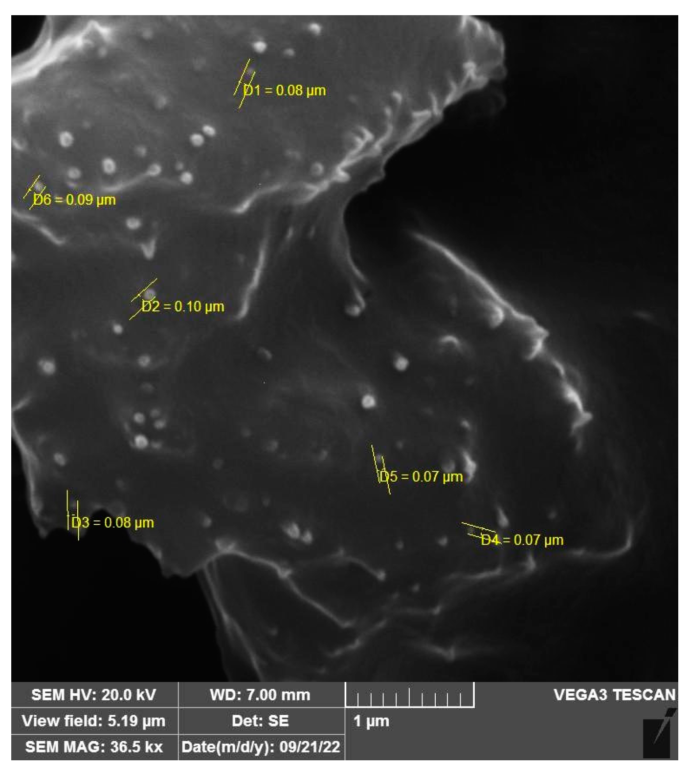 Pharmaceuticals 16 01680 g001
