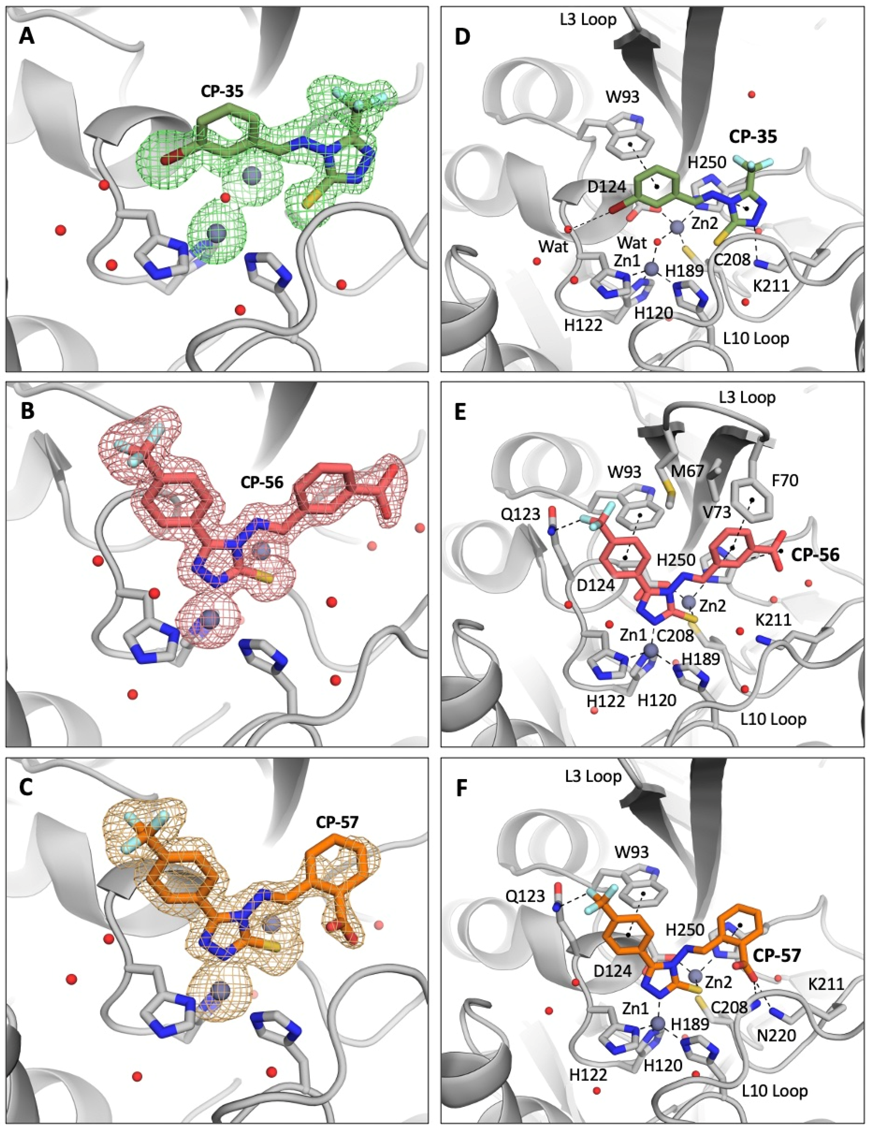 Pharmaceuticals 16 01682 g003