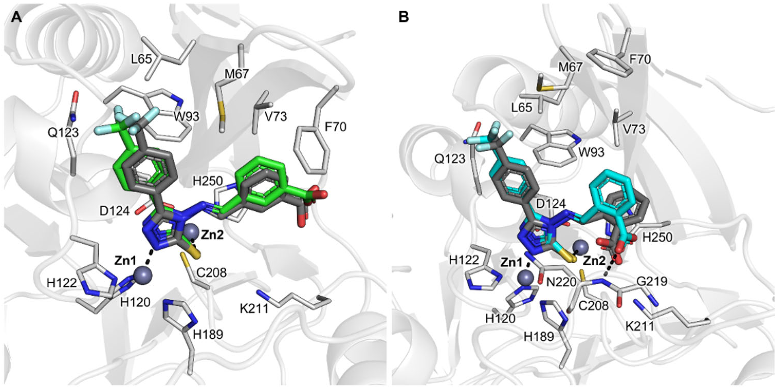 Pharmaceuticals 16 01682 g004