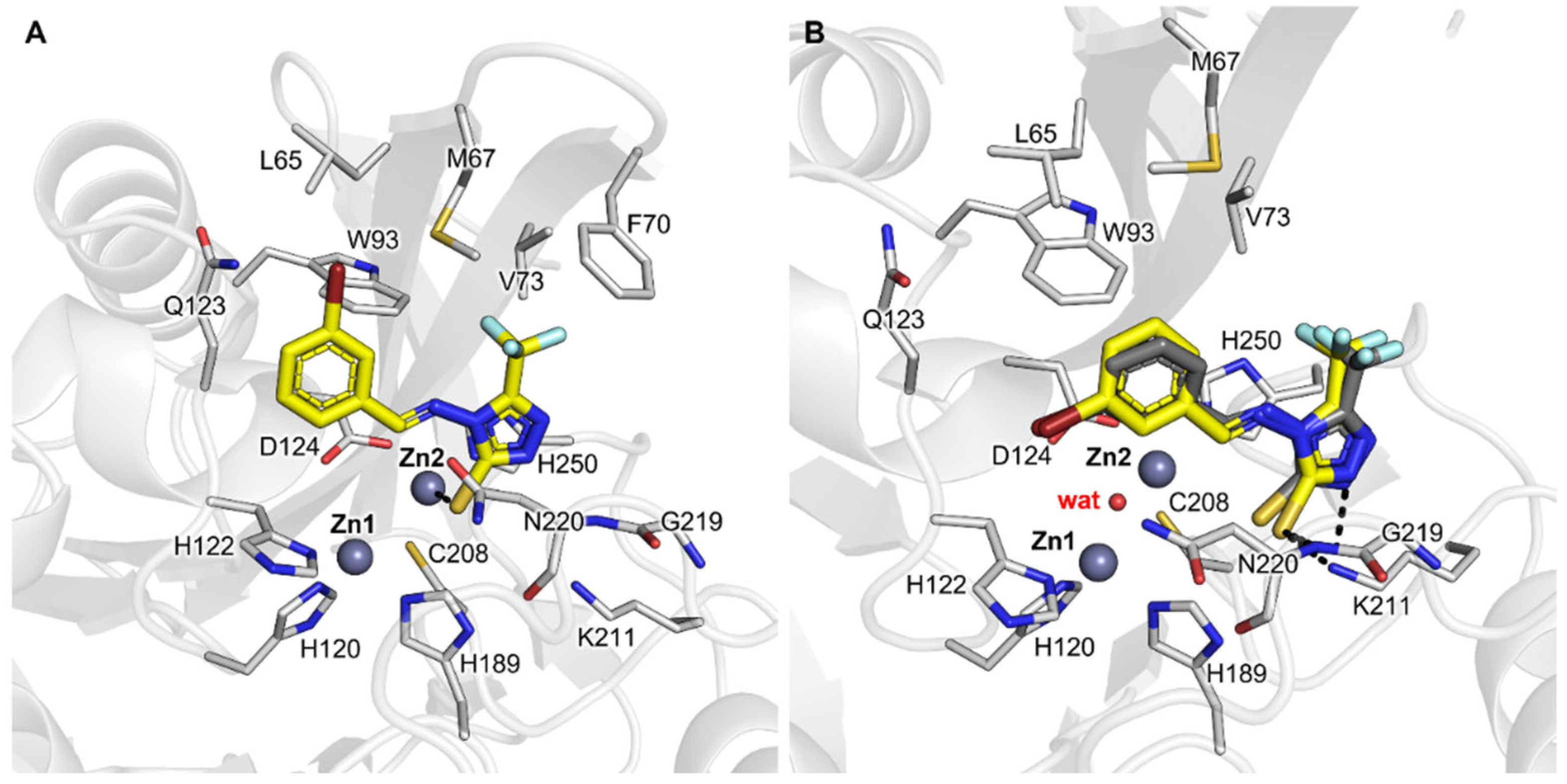 Pharmaceuticals 16 01682 g005