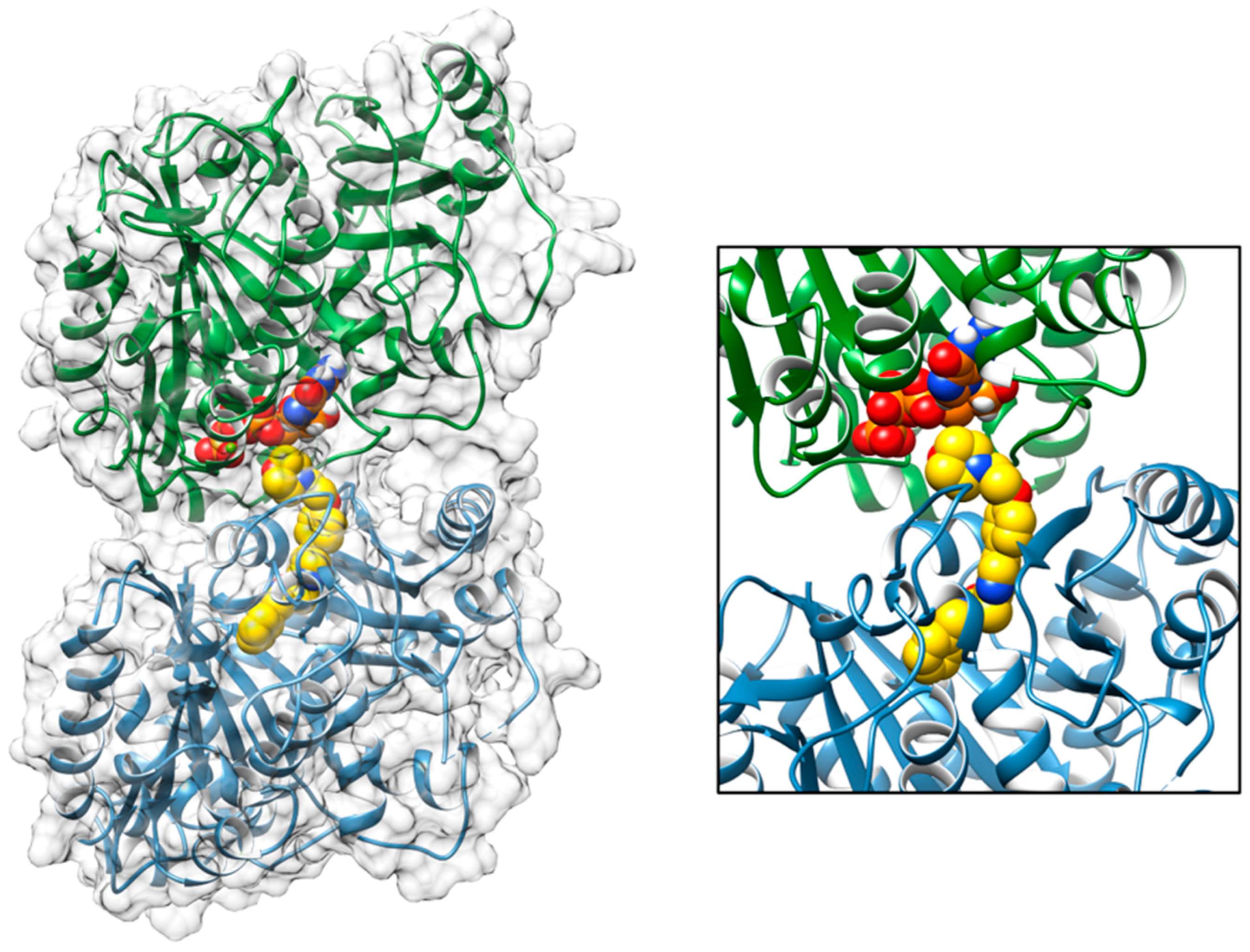 Pharmaceuticals 16 01686 g006