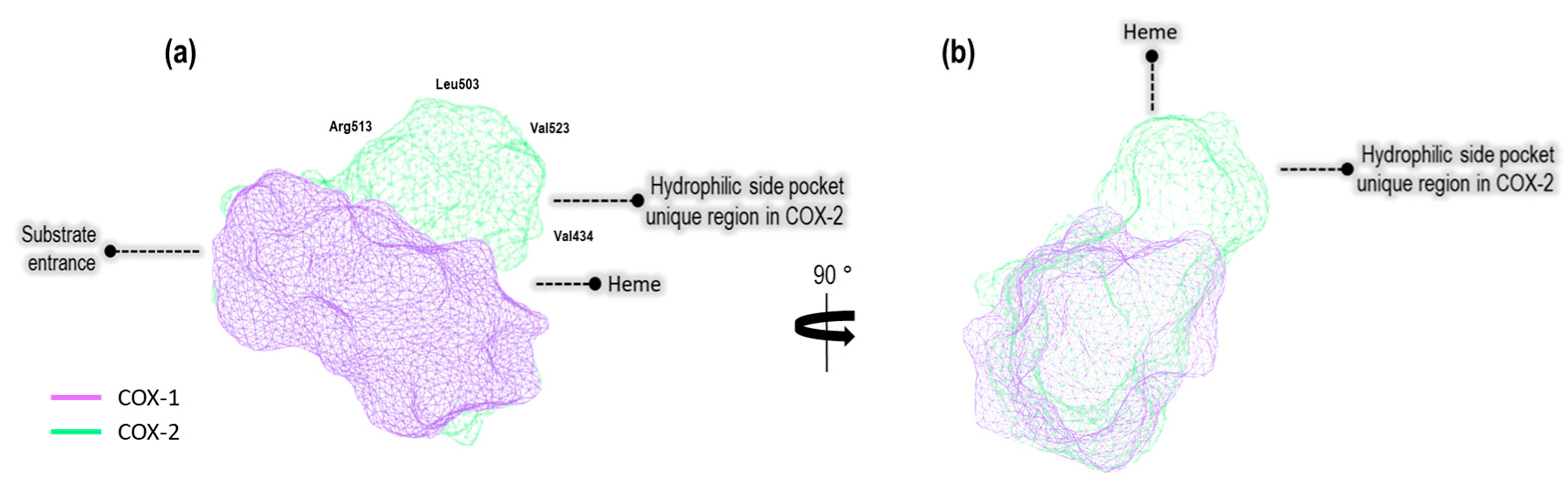 Pharmaceuticals 16 01688 g001