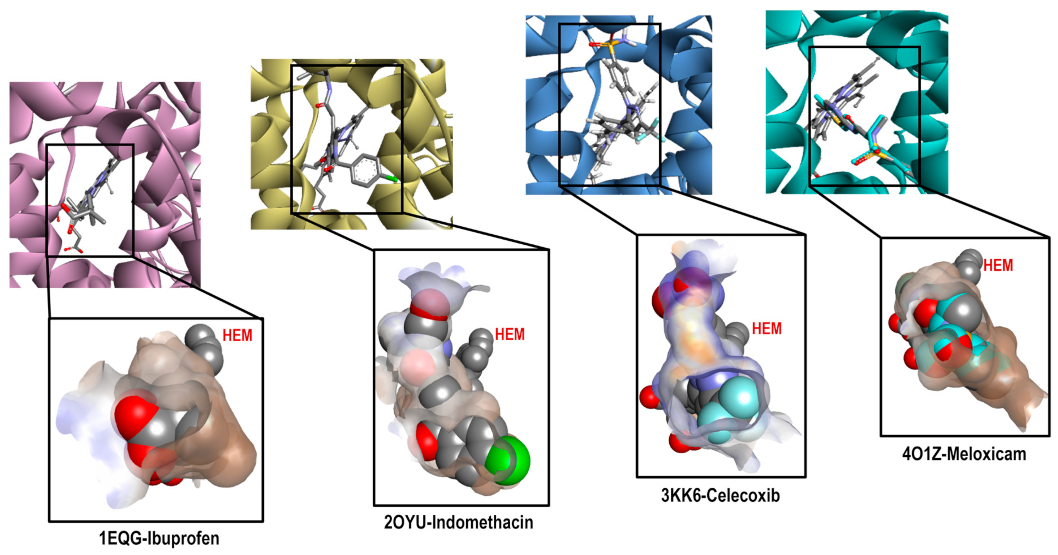 Pharmaceuticals 16 01688 g003