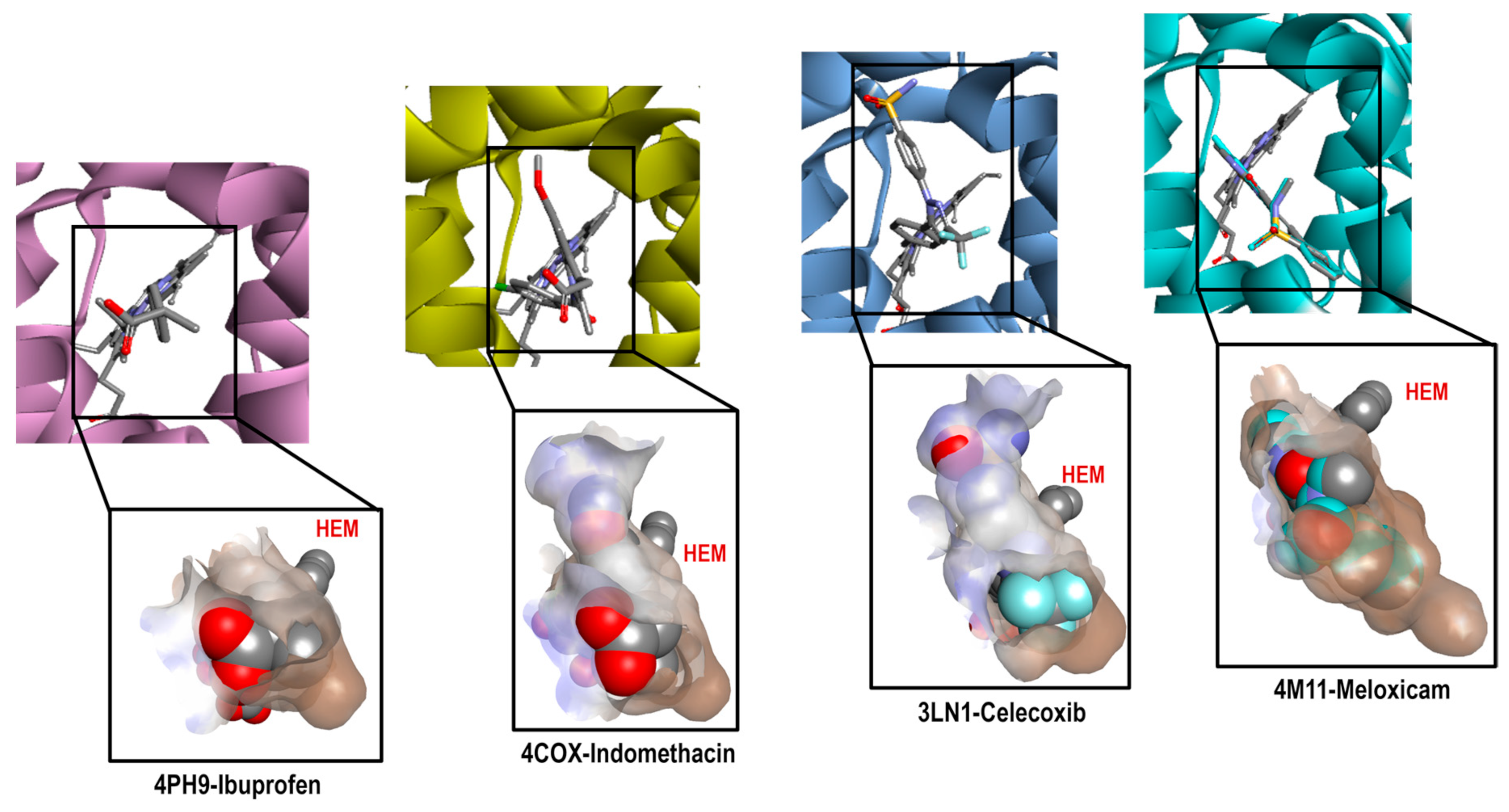 Pharmaceuticals 16 01688 g004