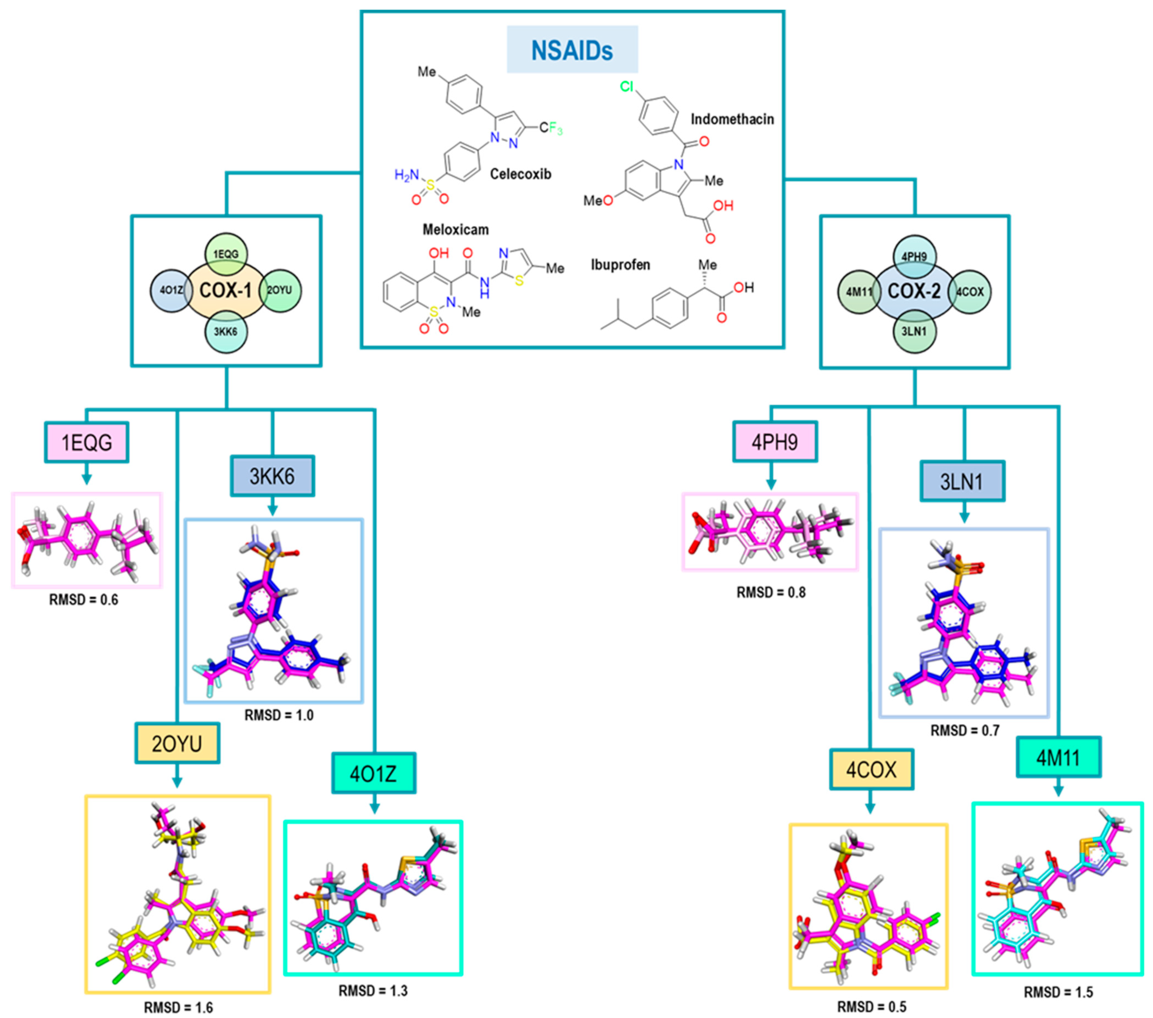 Pharmaceuticals 16 01688 g005