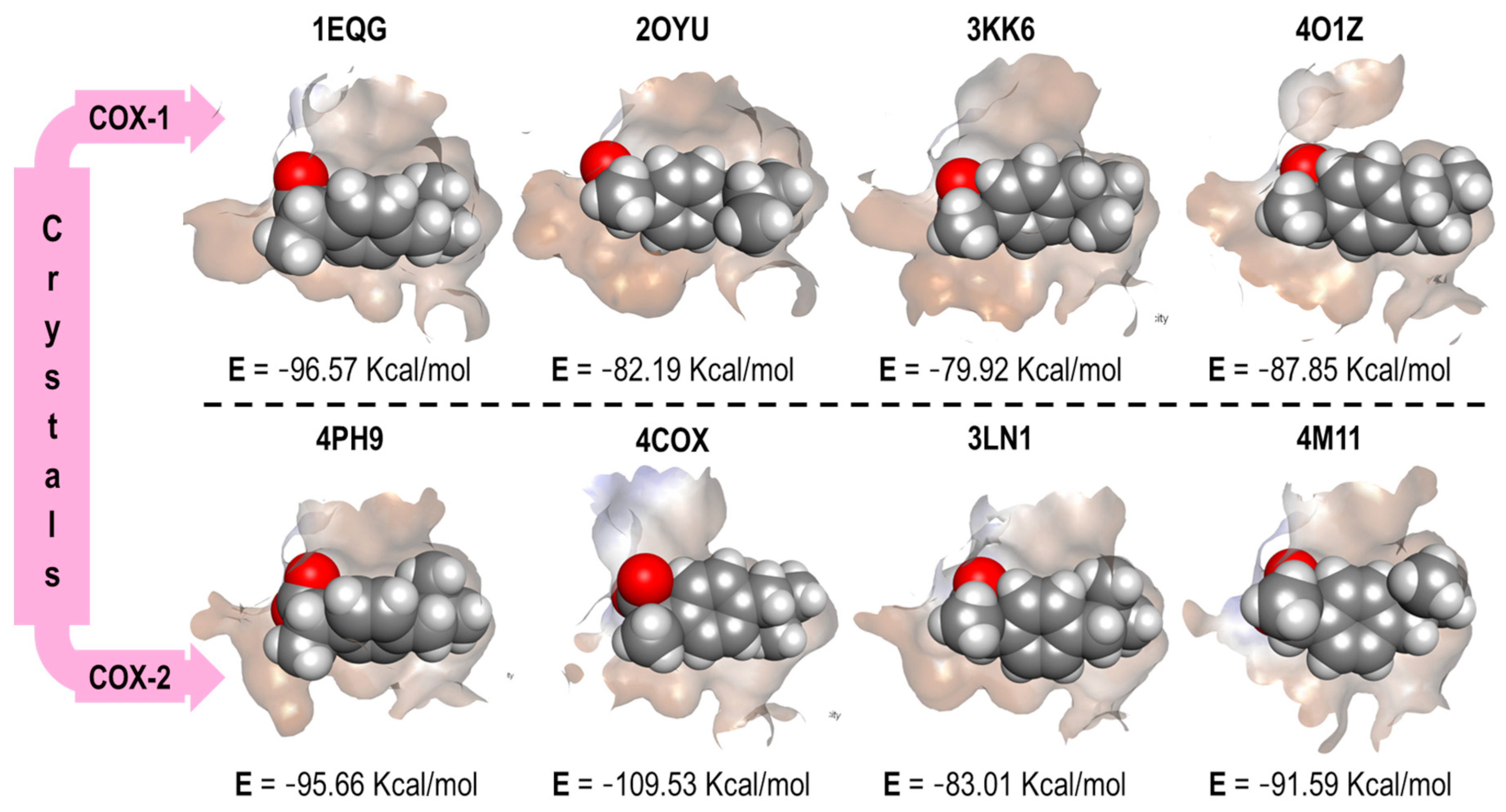 Pharmaceuticals 16 01688 g007