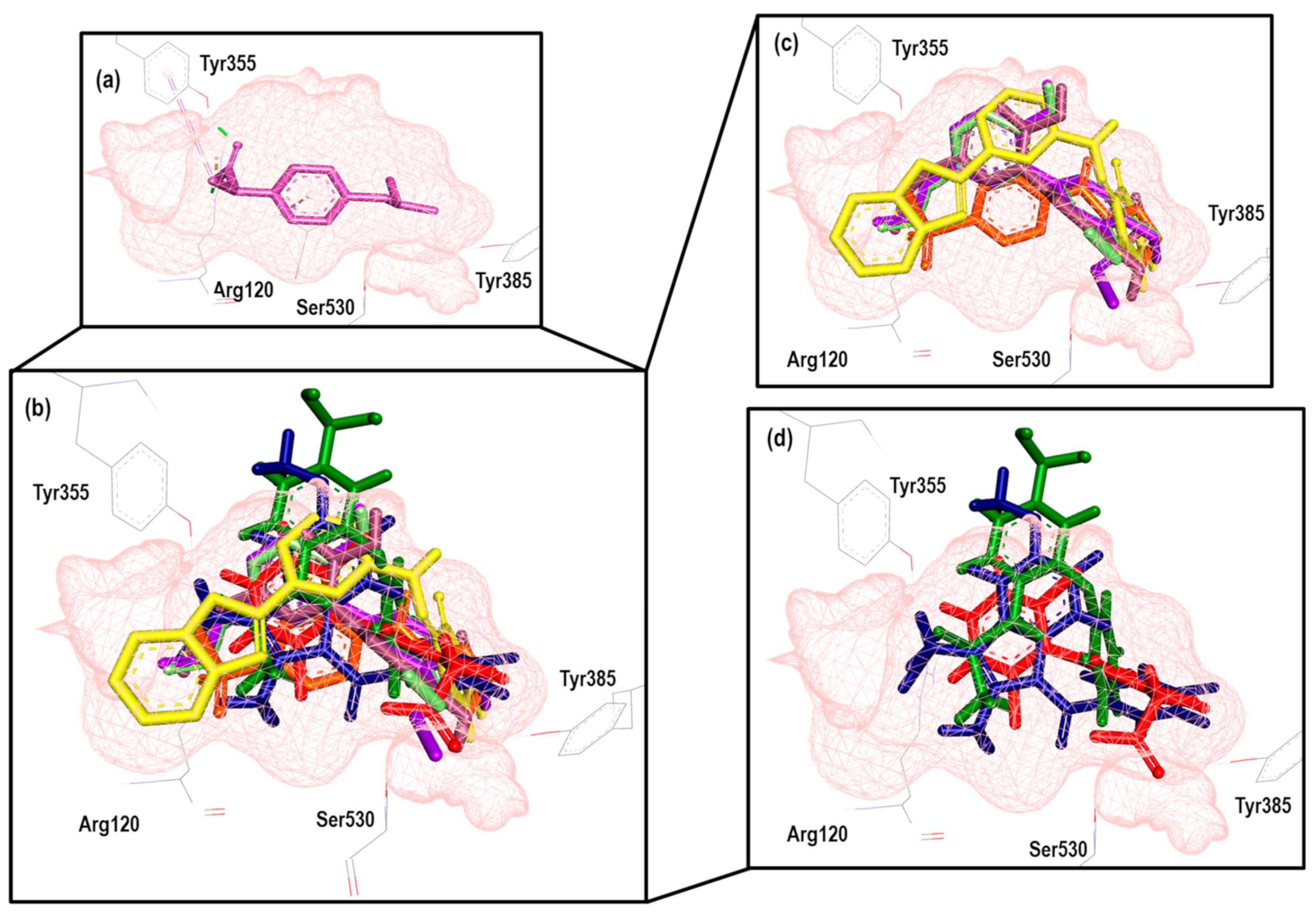 Pharmaceuticals 16 01688 g012