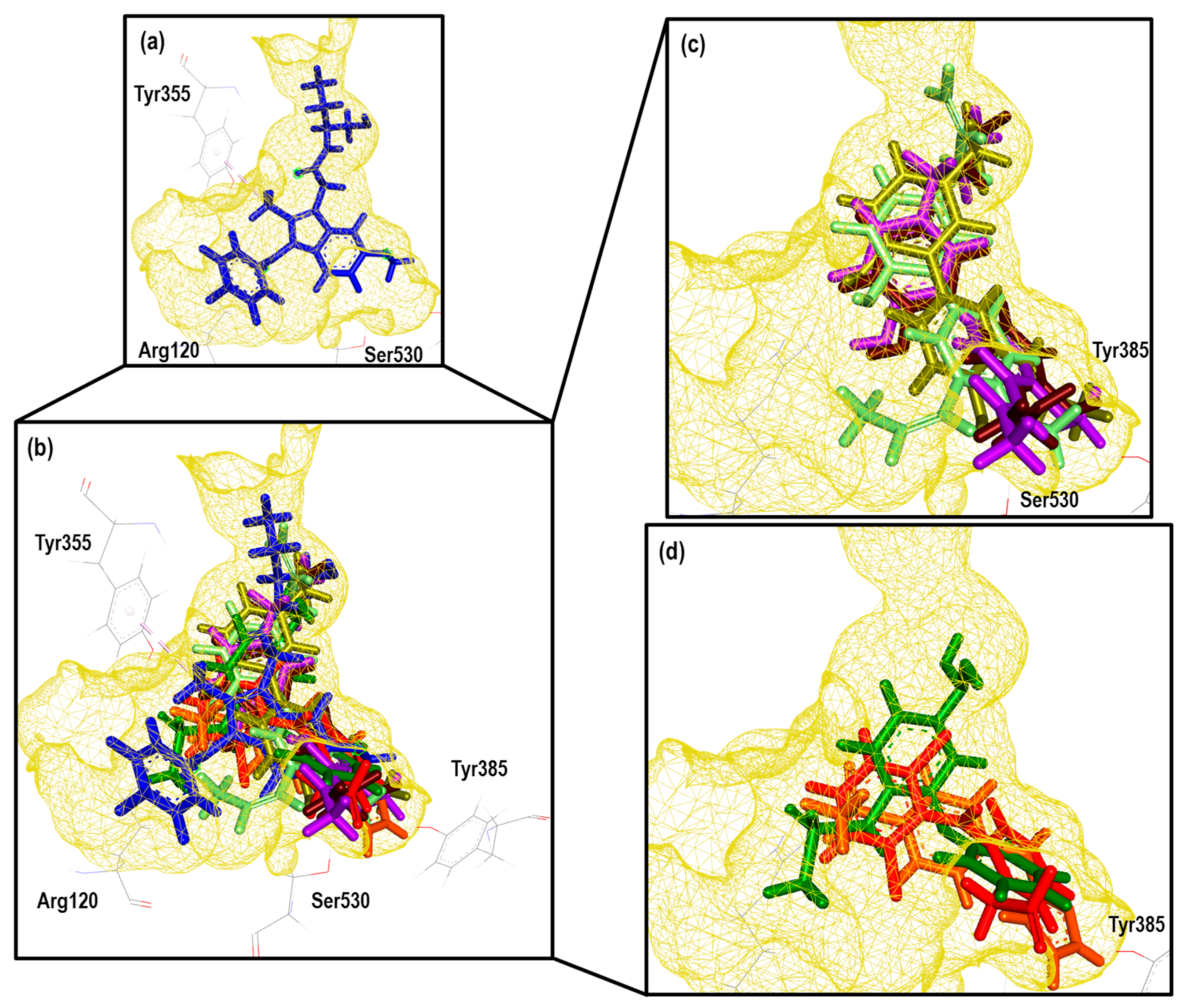 Pharmaceuticals 16 01688 g017