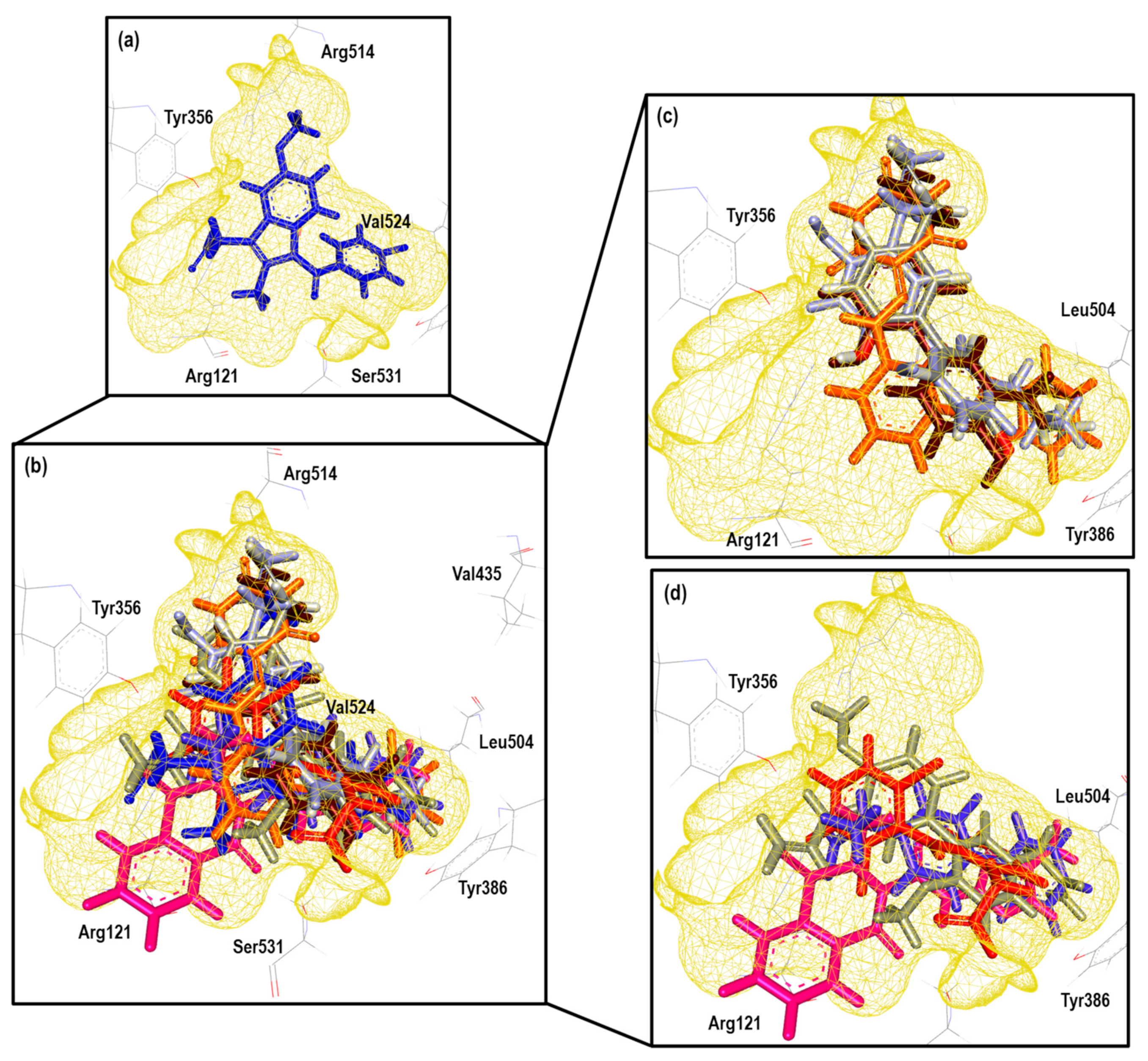 Pharmaceuticals 16 01688 g019
