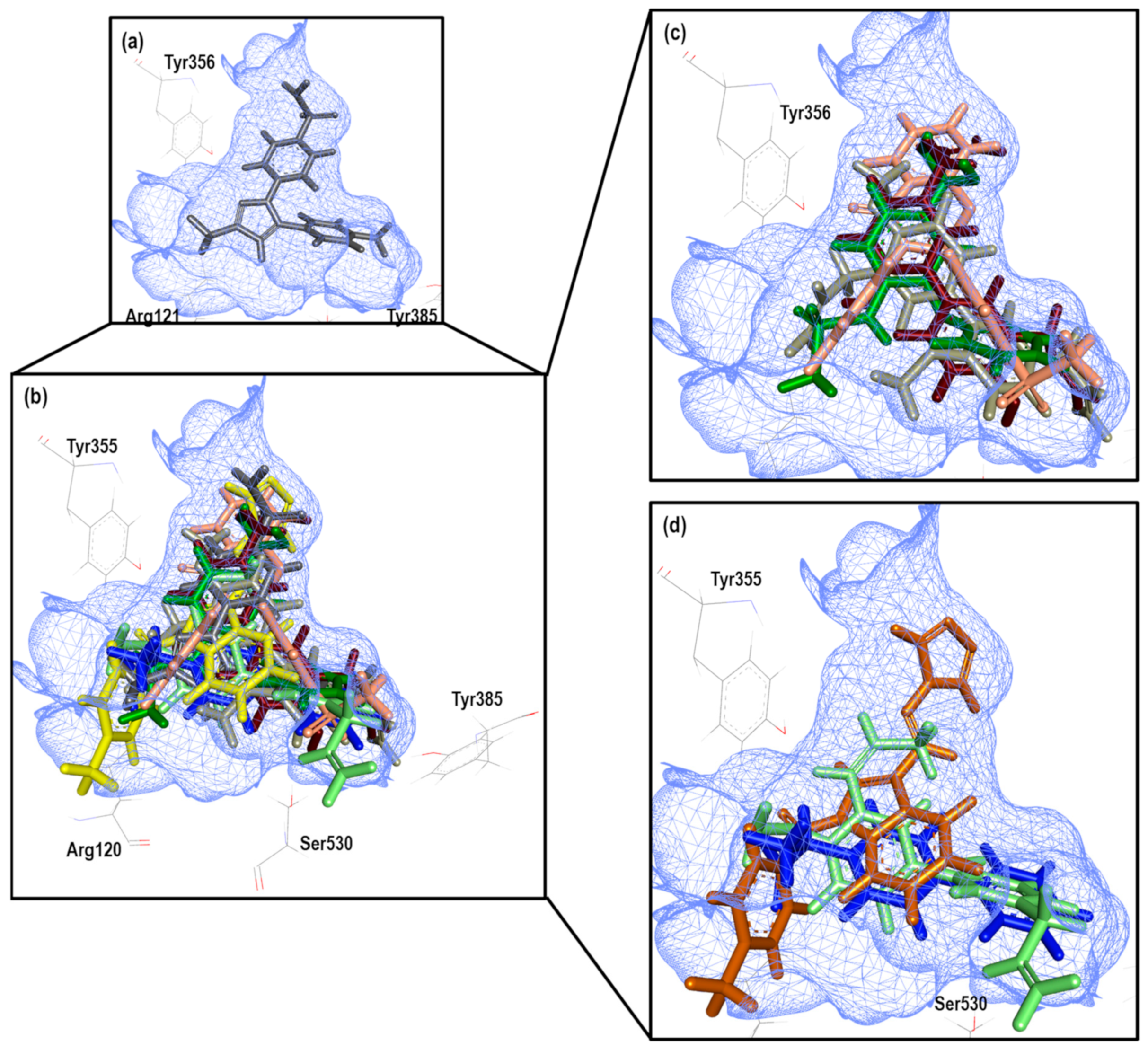 Pharmaceuticals 16 01688 g022