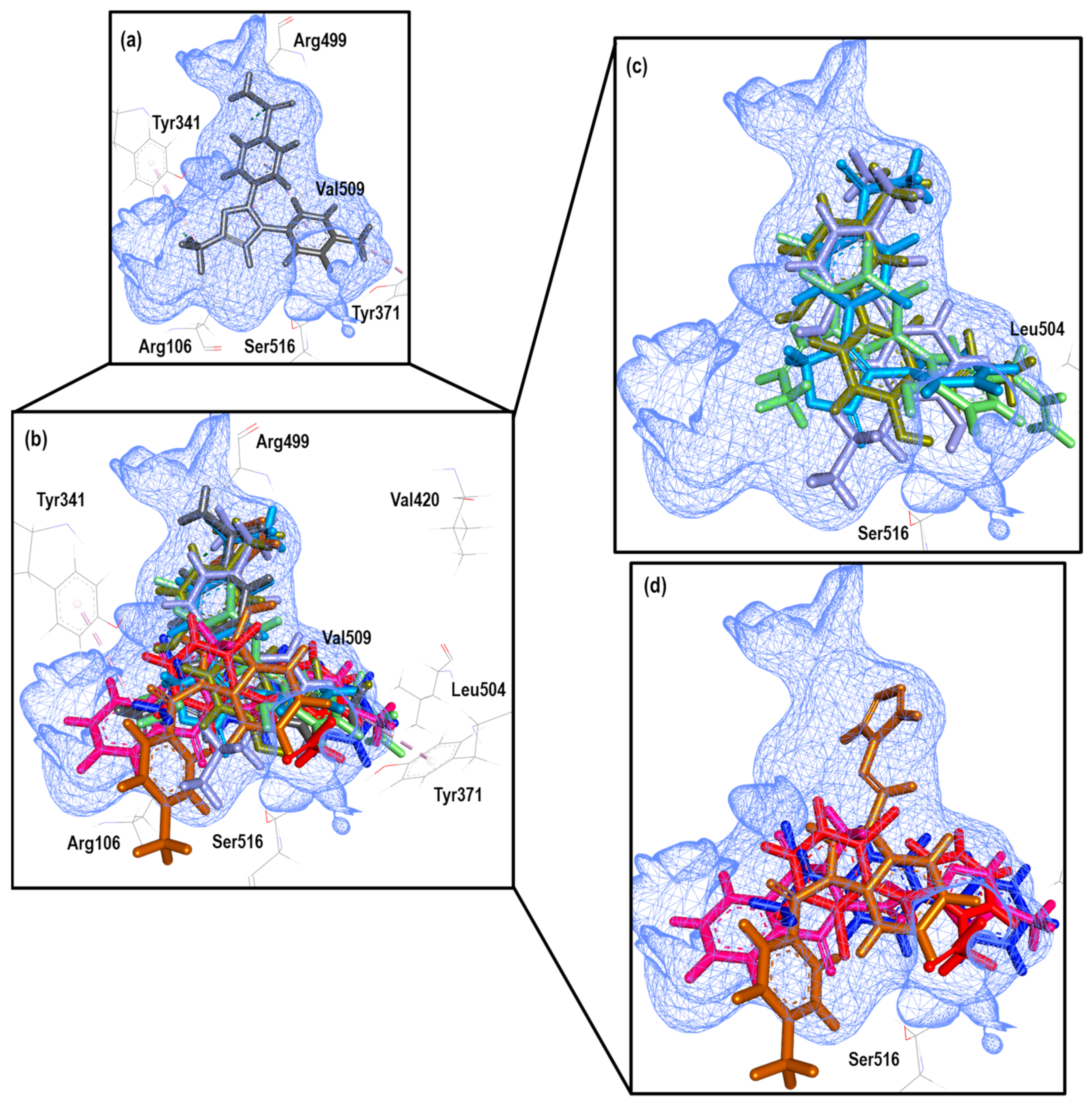 Pharmaceuticals 16 01688 g024