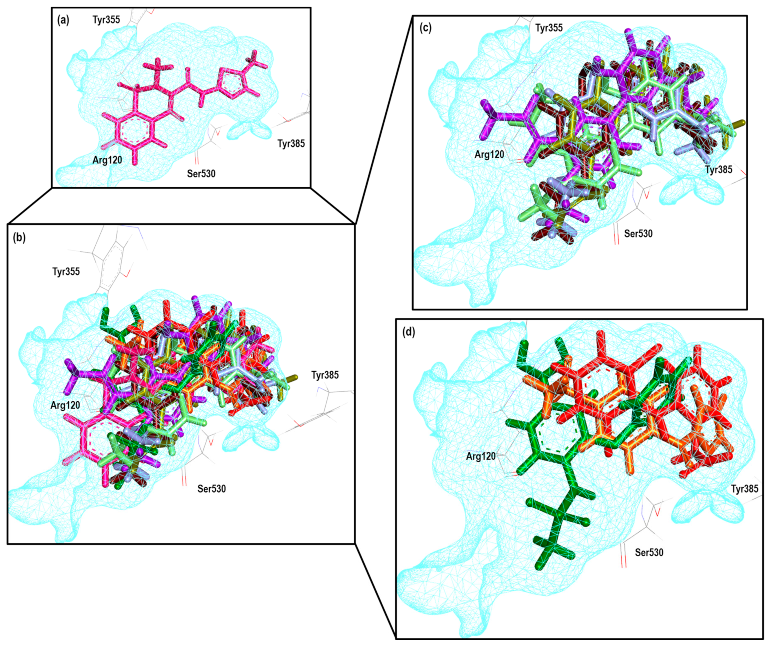 Pharmaceuticals 16 01688 g027