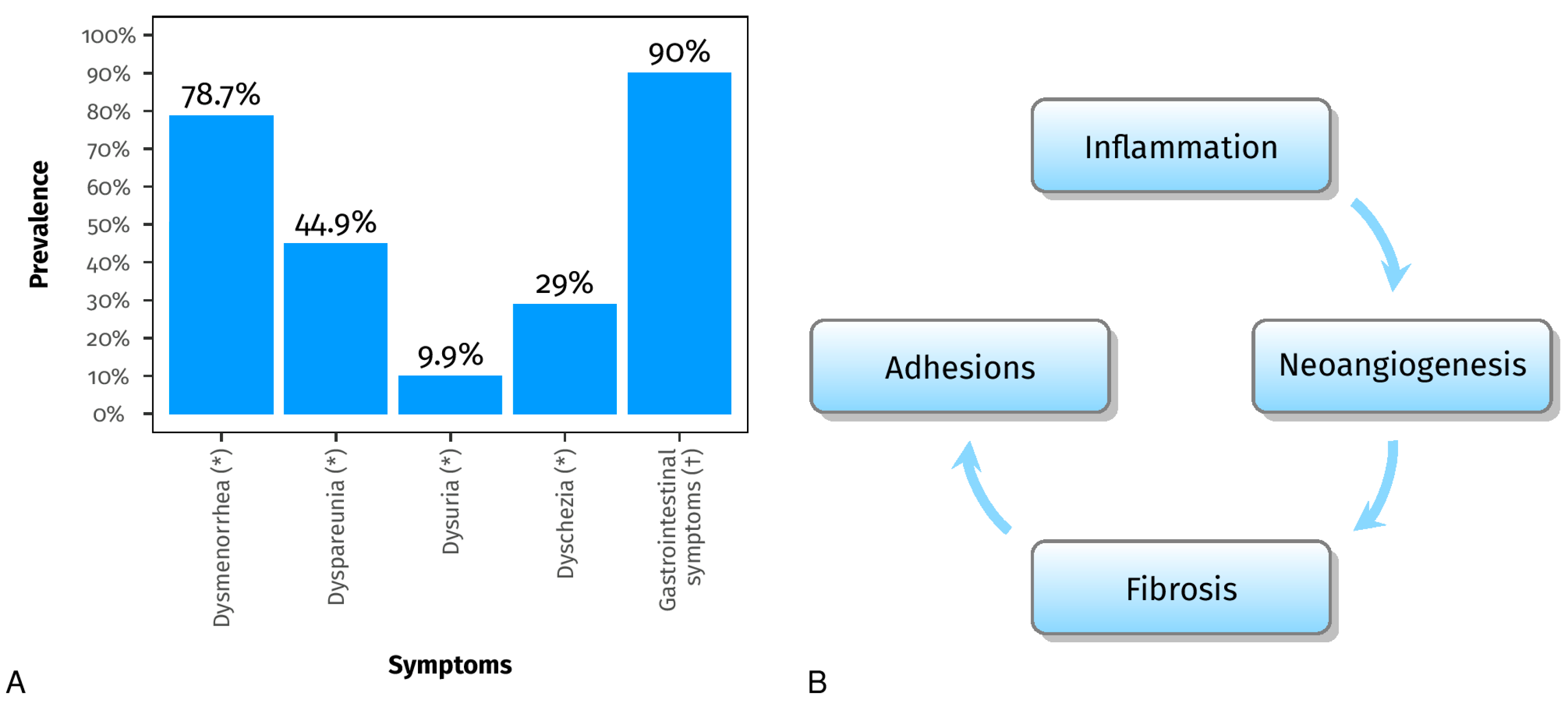 Pharmaceuticals 16 01696 g001