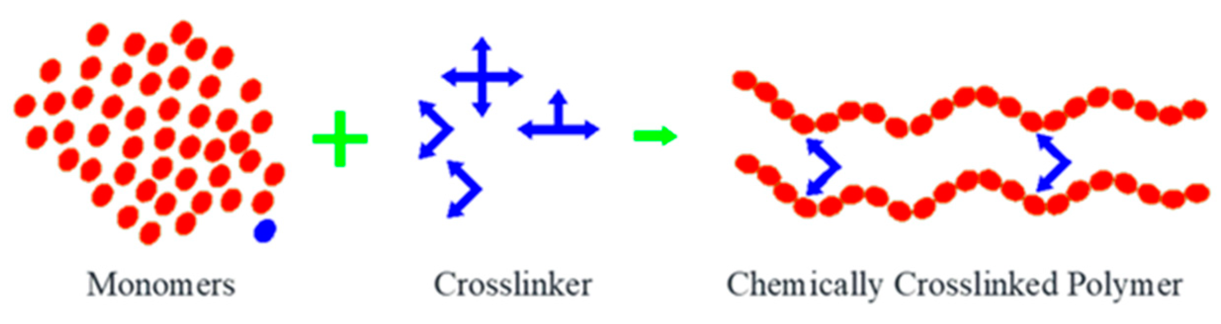 Pharmaceuticals 16 01701 g004