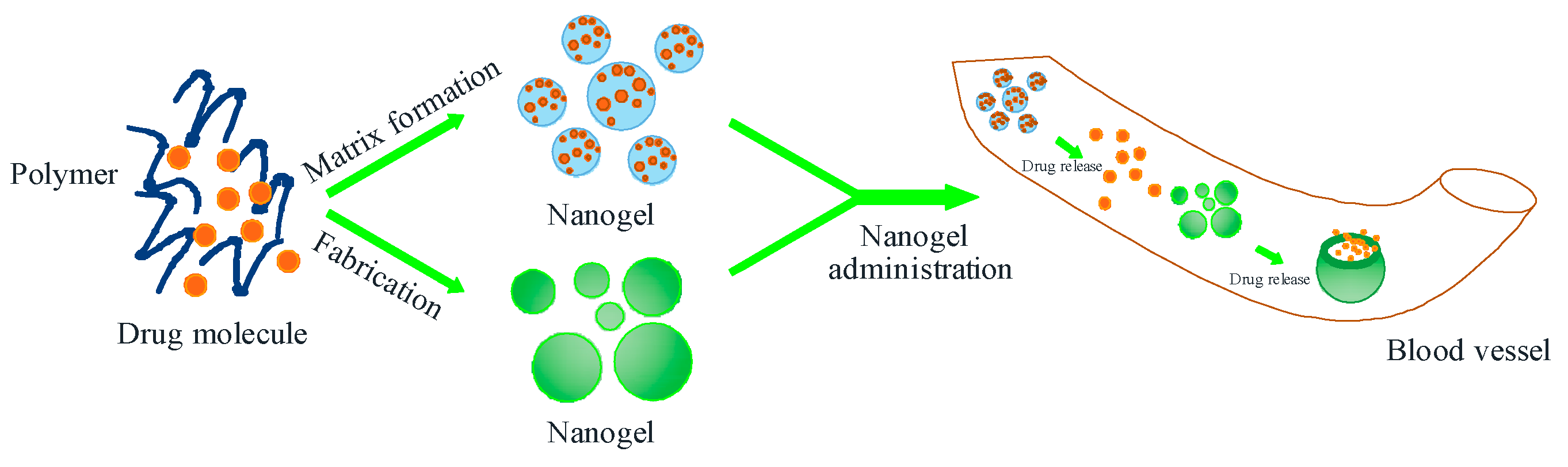 Pharmaceuticals 16 01701 g005