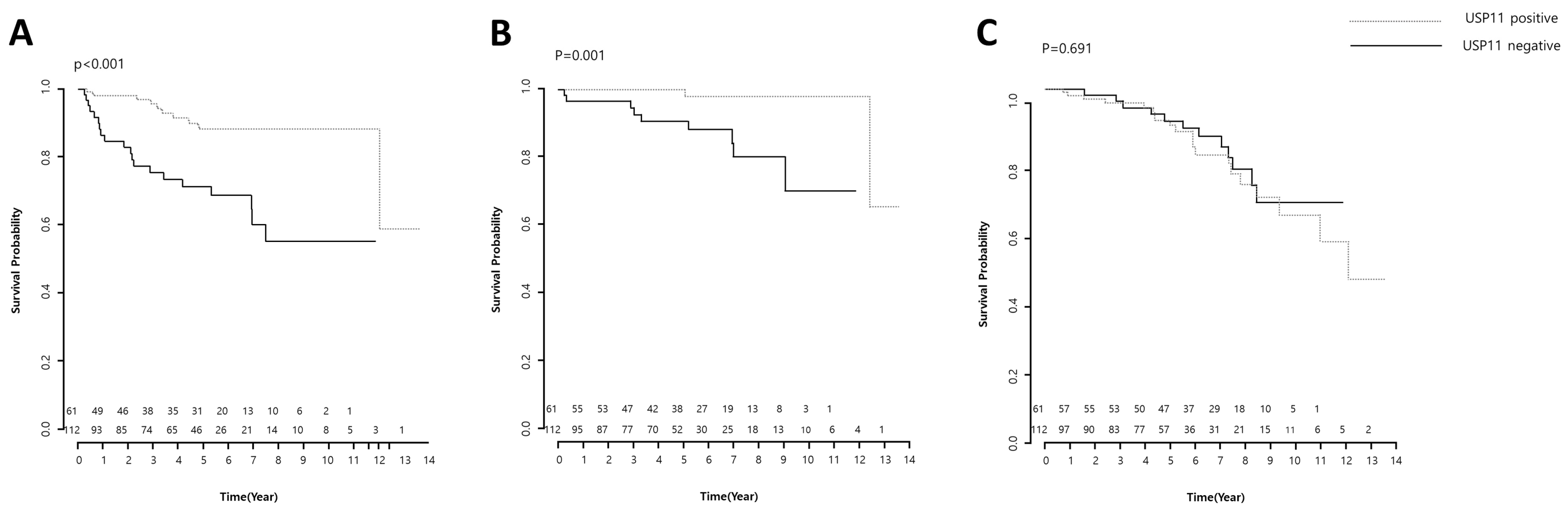 Pharmaceuticals 16 01703 g003