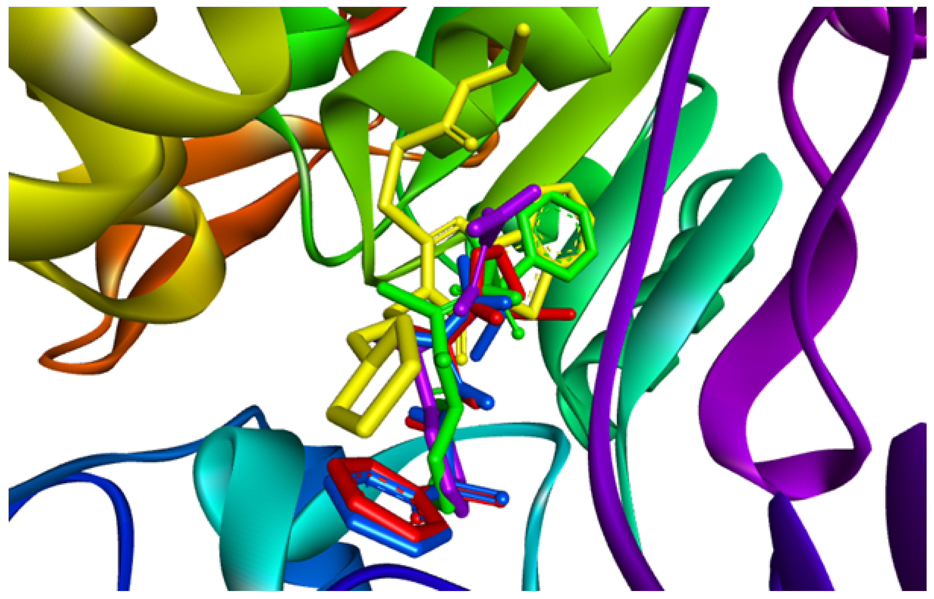 Pharmaceuticals 16 01706 g005