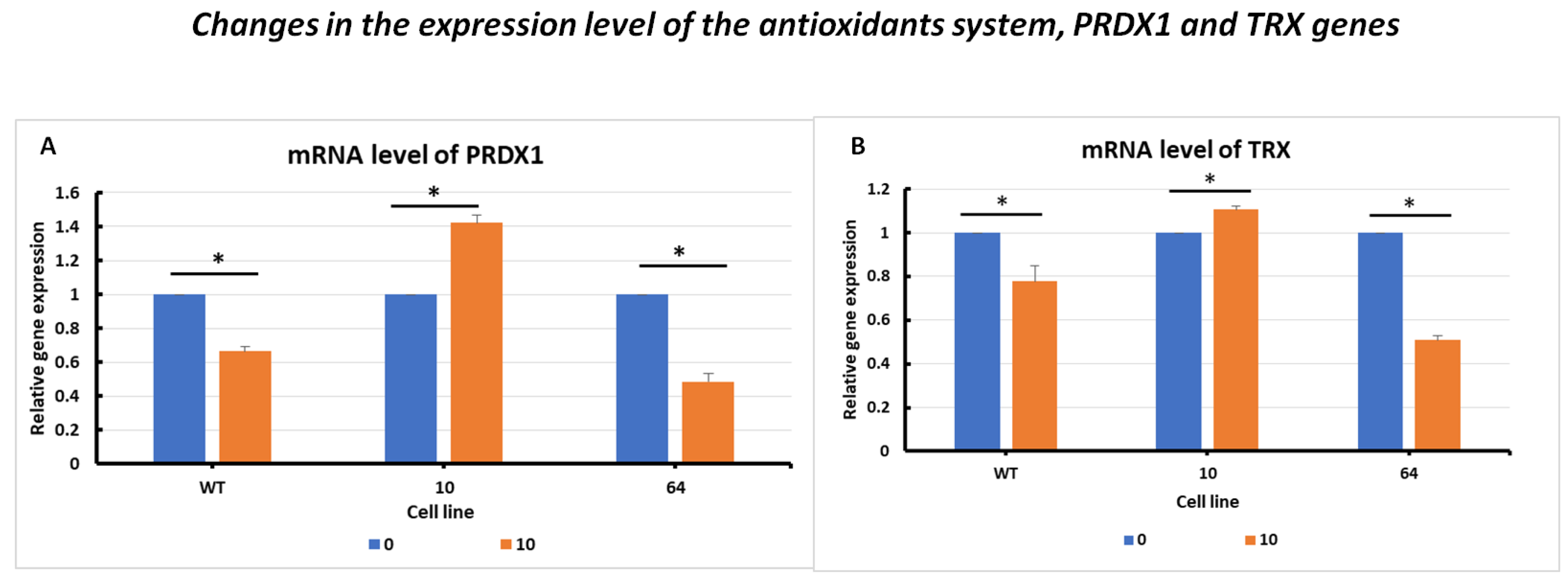Pharmaceuticals 16 01710 g005