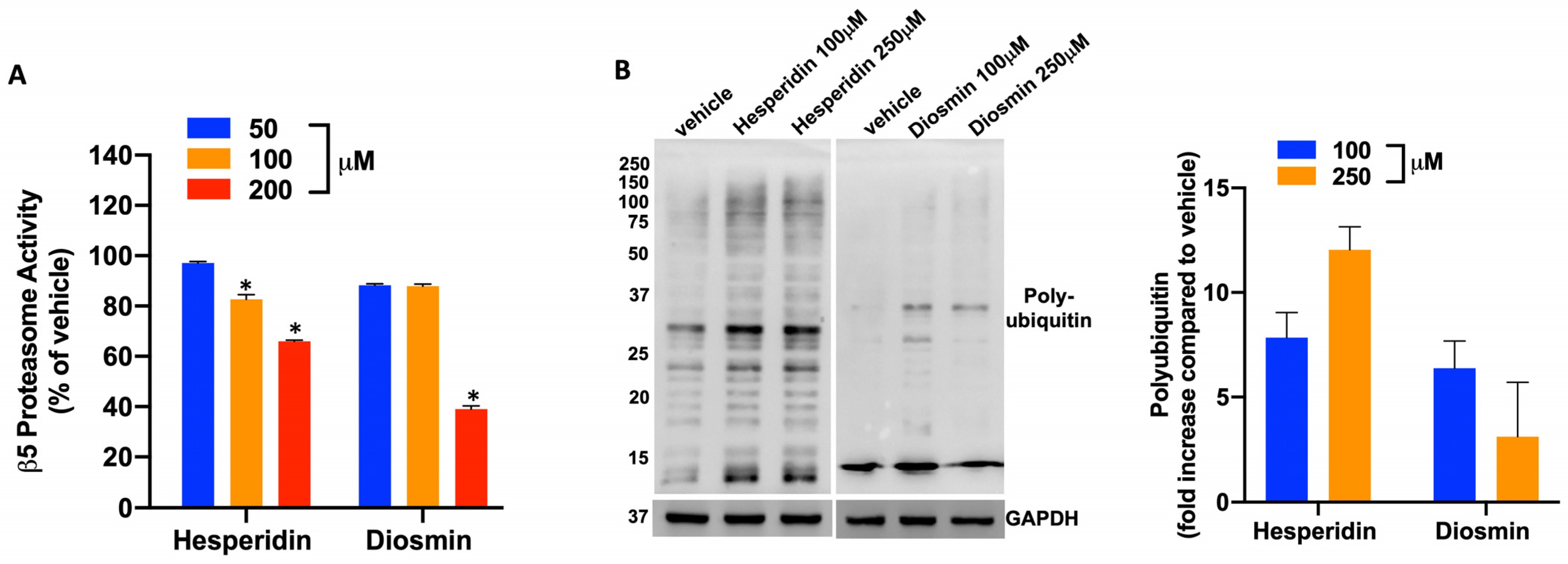 Pharmaceuticals 16 01712 g004