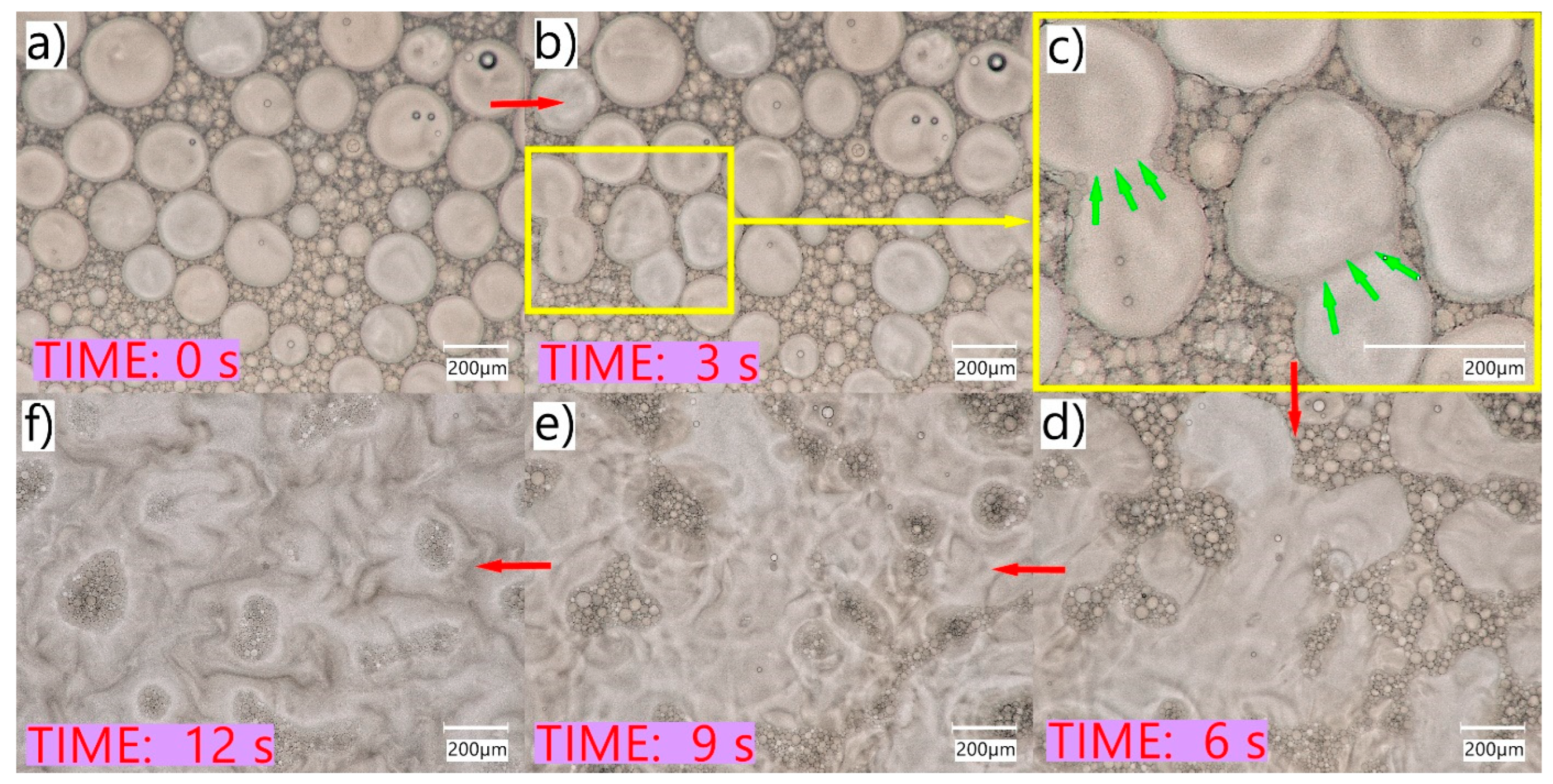 Pharmaceuticals 16 01713 g003