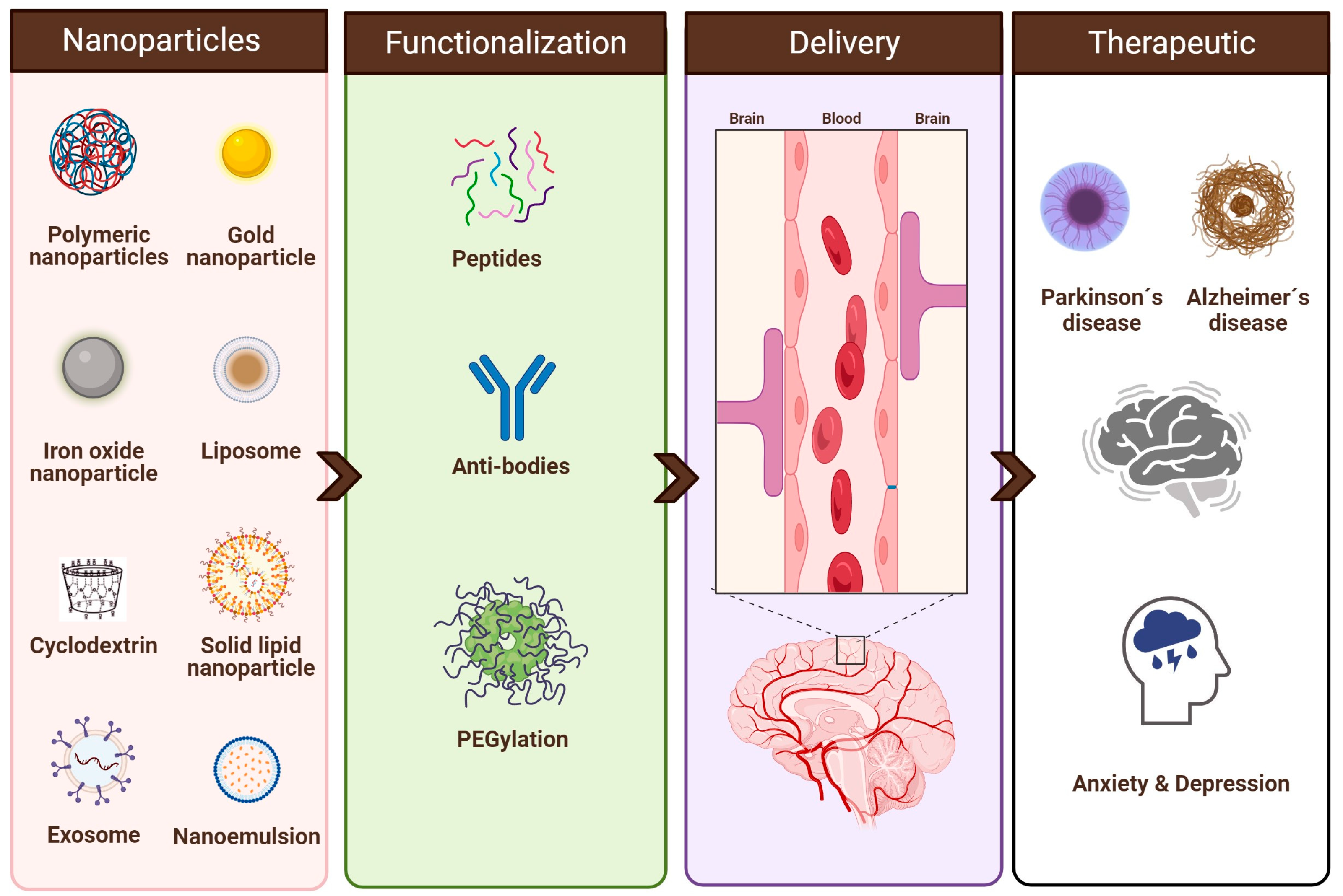 Pharmaceuticals 16 01721 g001 Pharmaceuticals 16 01721 g001