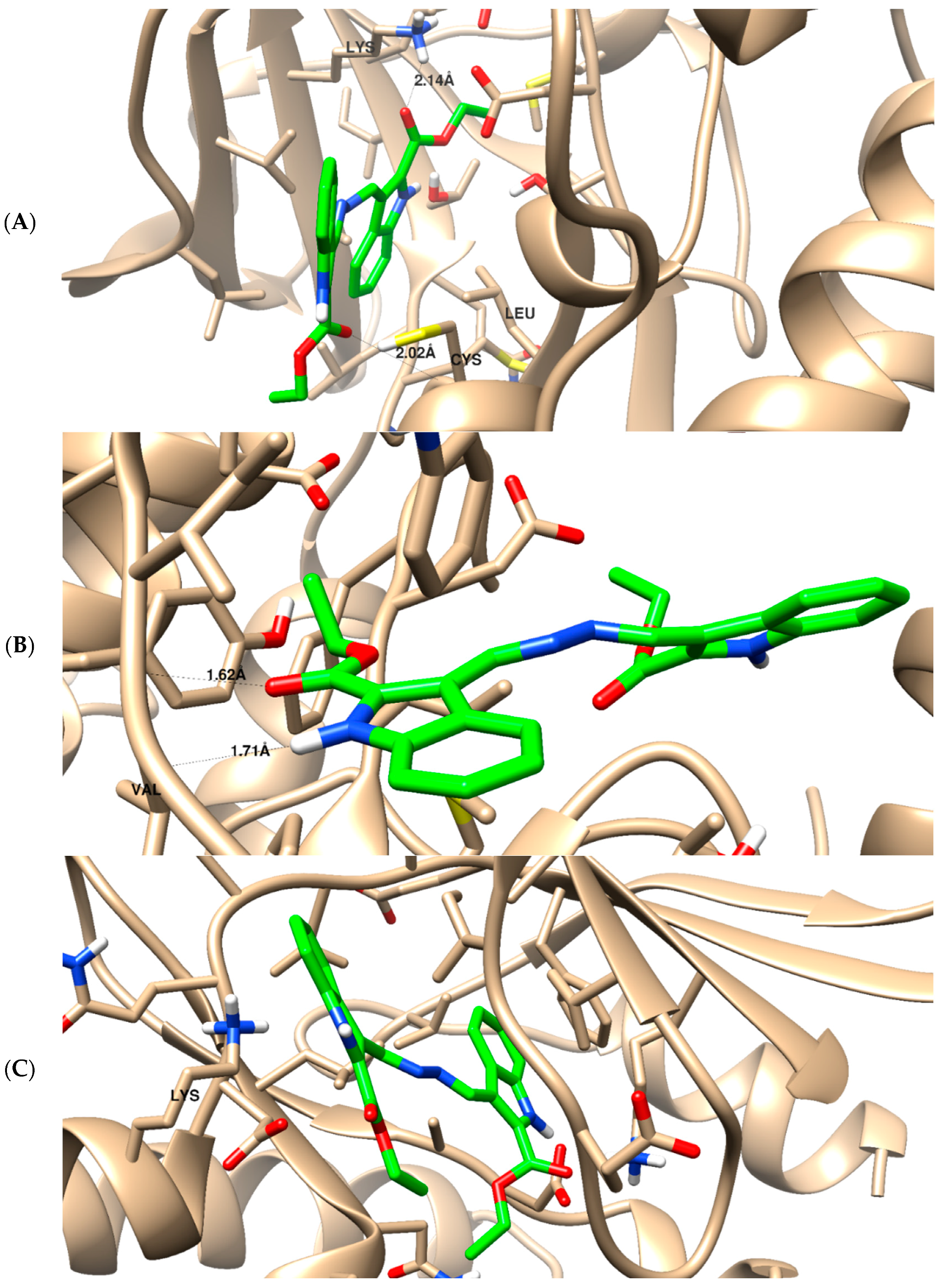 Pharmaceuticals 16 01724 g006
