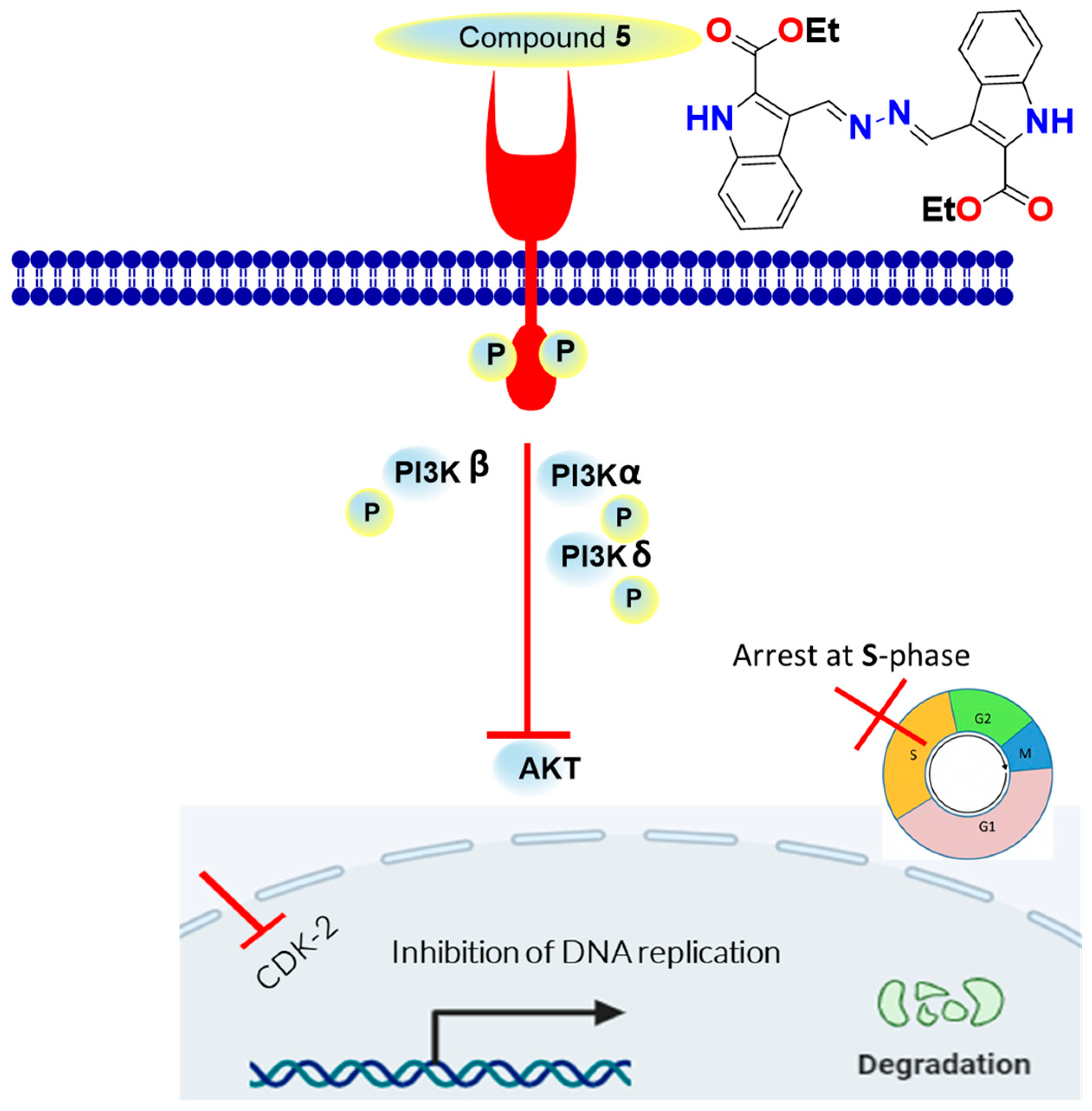 Pharmaceuticals 16 01724 g007