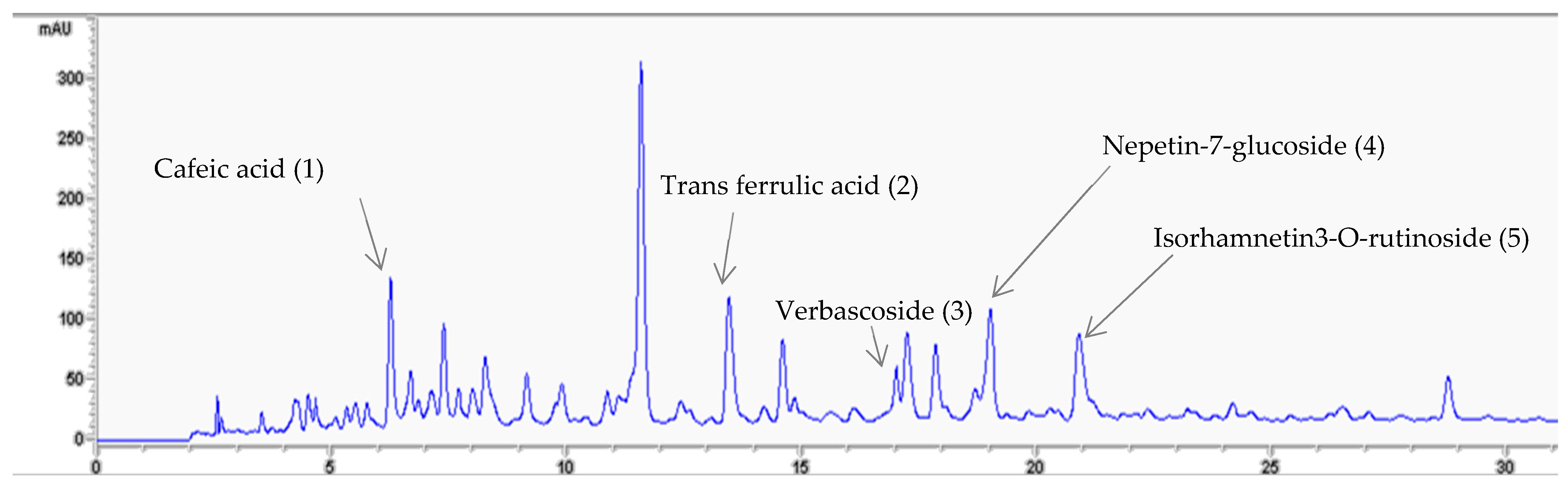 Pharmaceuticals 16 01726 g001