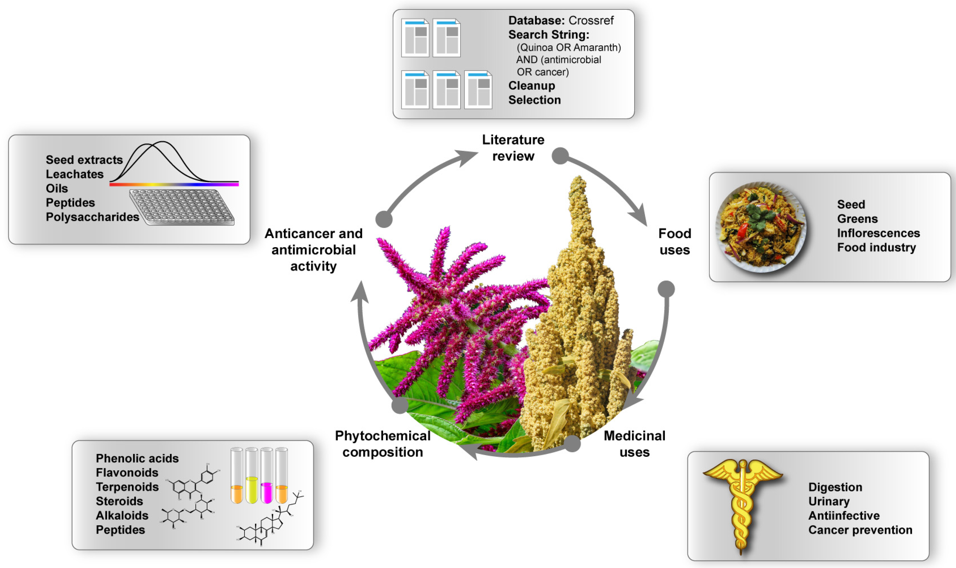 Pharmaceuticals 16 01728 g001