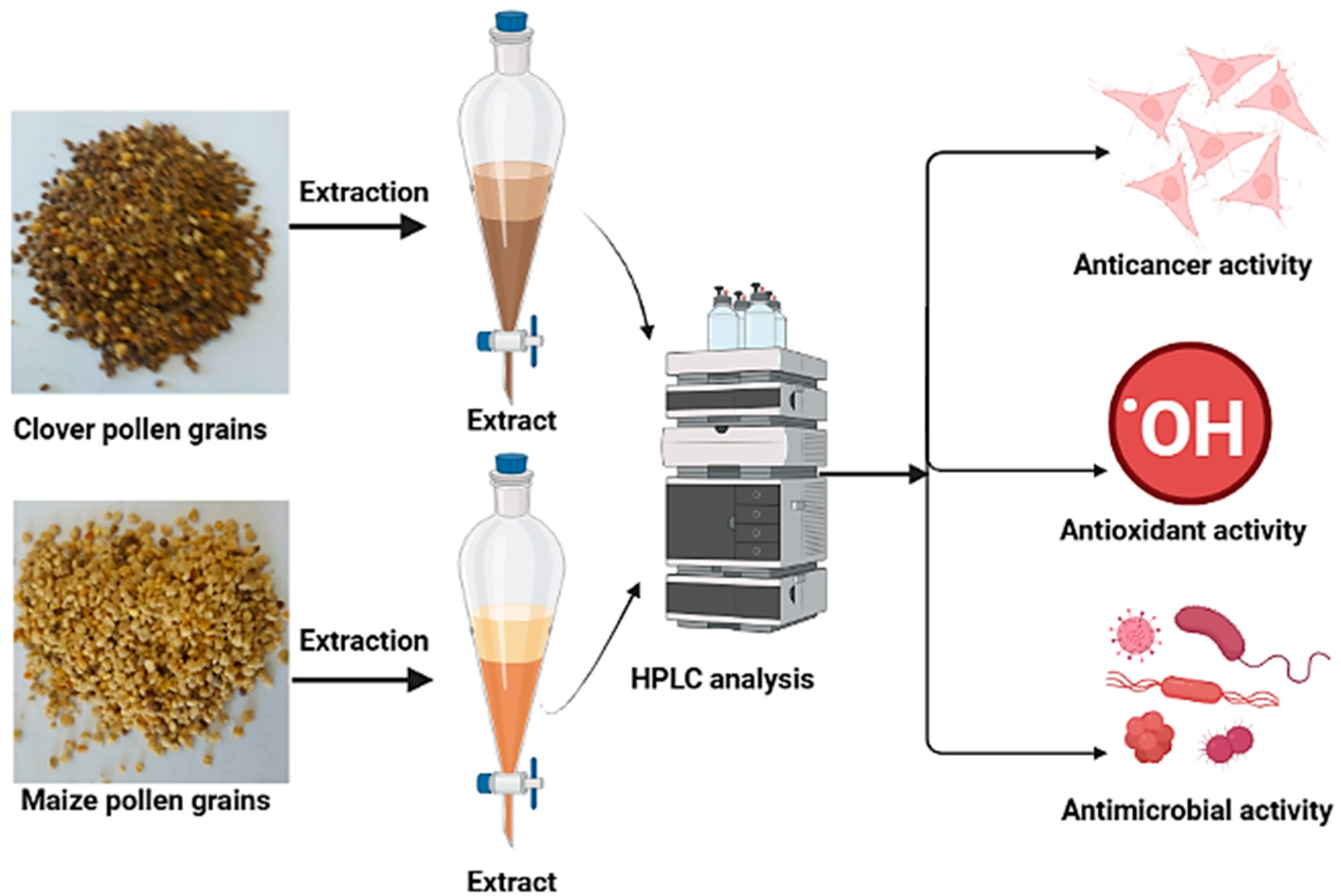 Pharmaceuticals 16 01731 g001