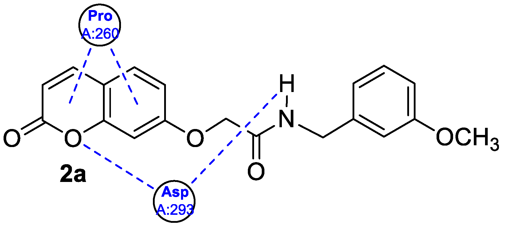 Pharmaceuticals 16 01732 g005 Pharmaceuticals 16 01732 g005