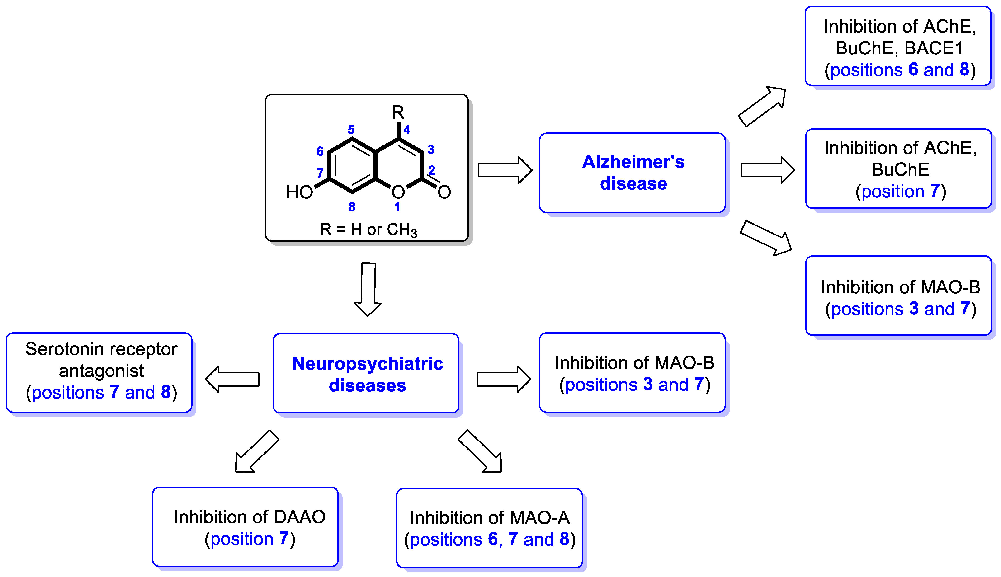 Pharmaceuticals 16 01732 g013 Pharmaceuticals 16 01732 g013