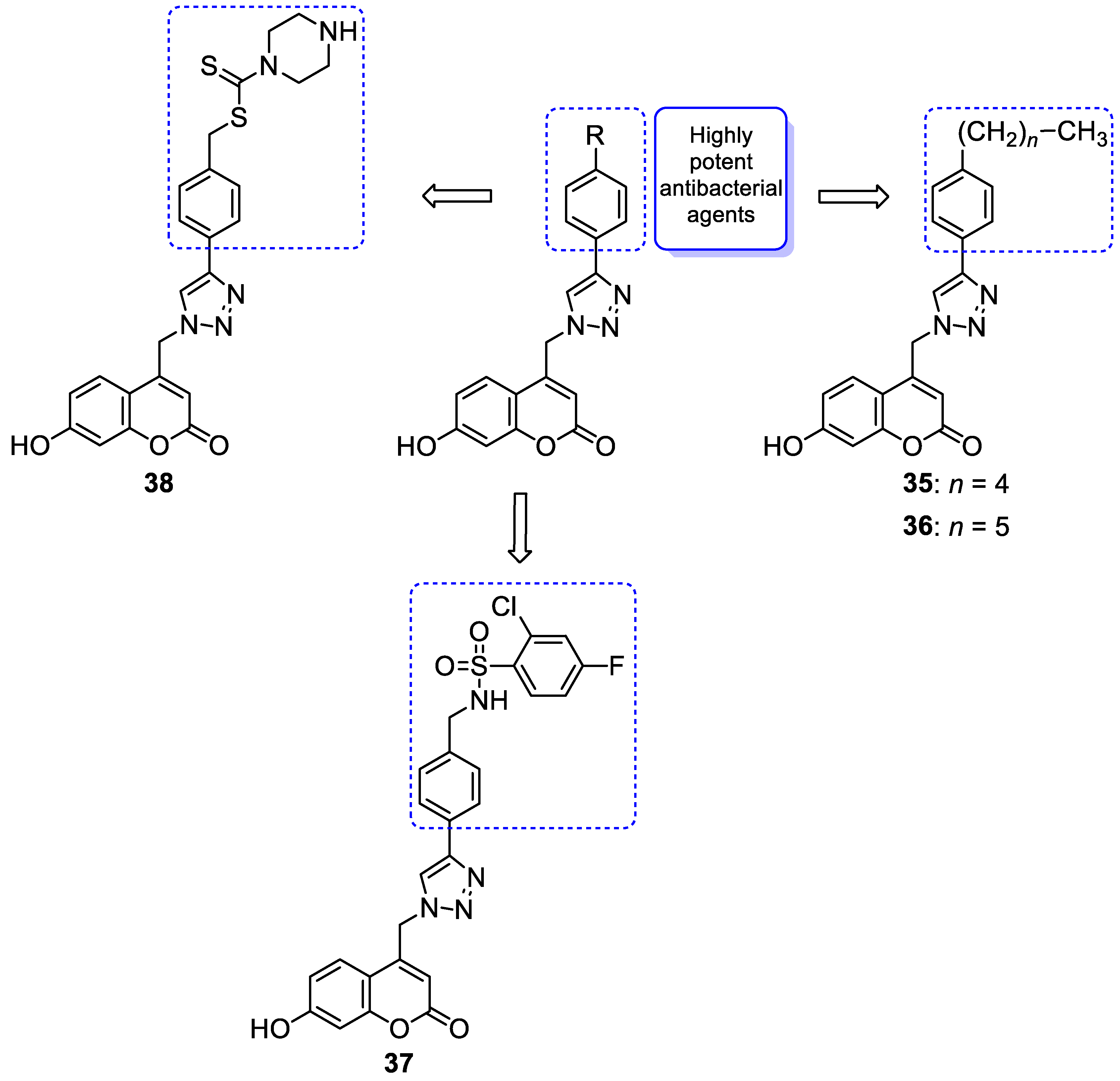 Pharmaceuticals 16 01732 g018 Pharmaceuticals 16 01732 g018