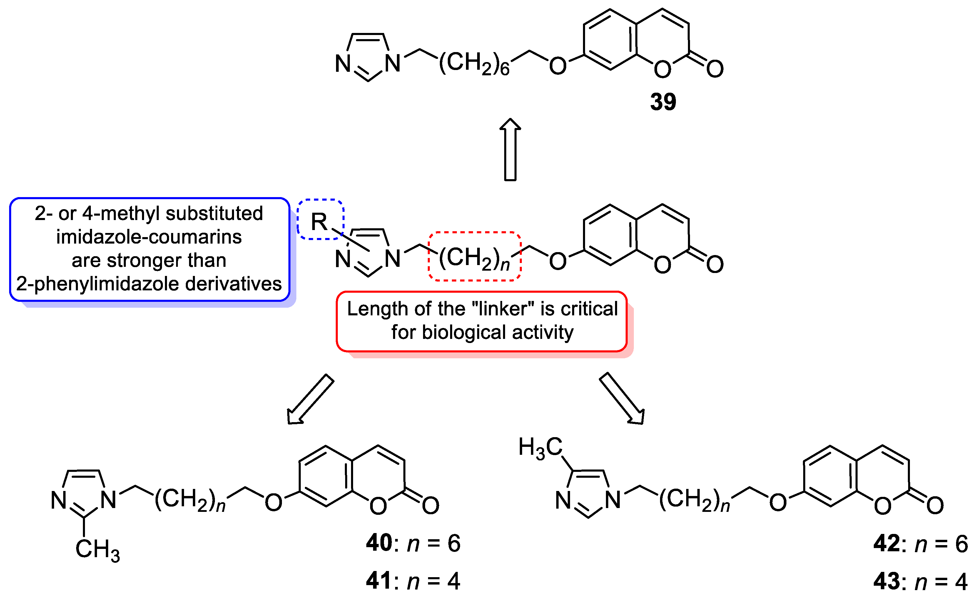 Pharmaceuticals 16 01732 g019 Pharmaceuticals 16 01732 g019