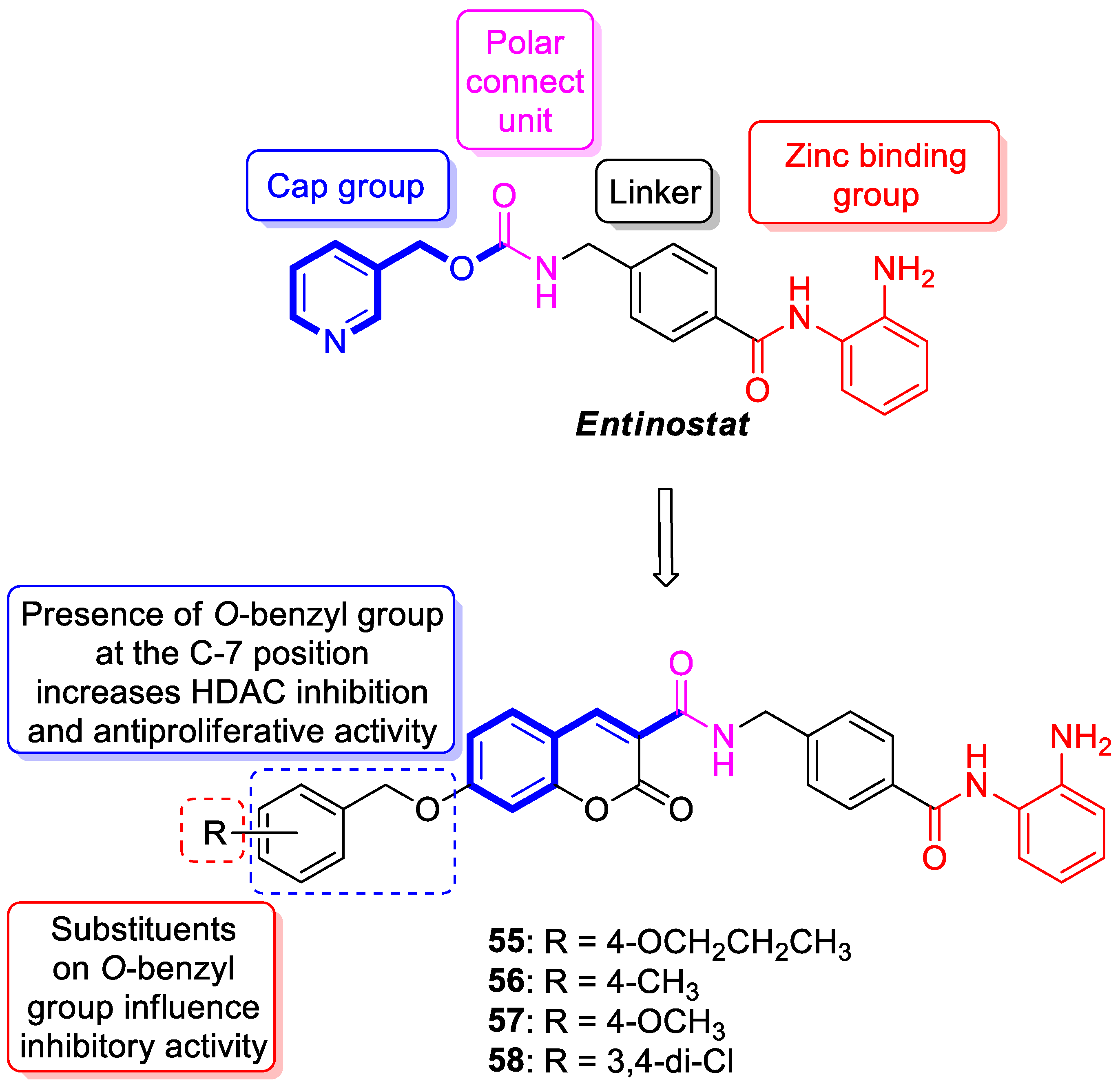 Pharmaceuticals 16 01732 g027 Pharmaceuticals 16 01732 g027