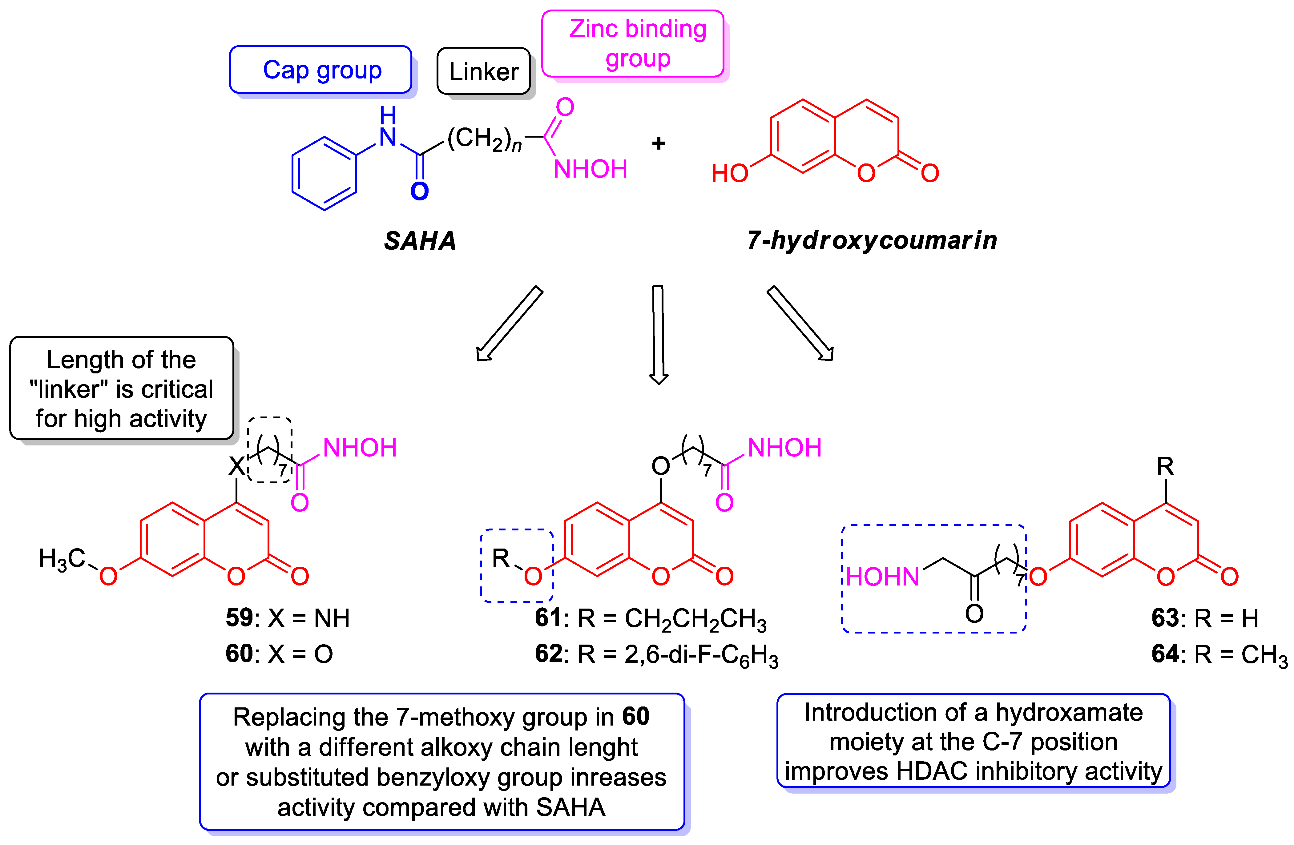 Pharmaceuticals 16 01732 g029 Pharmaceuticals 16 01732 g029