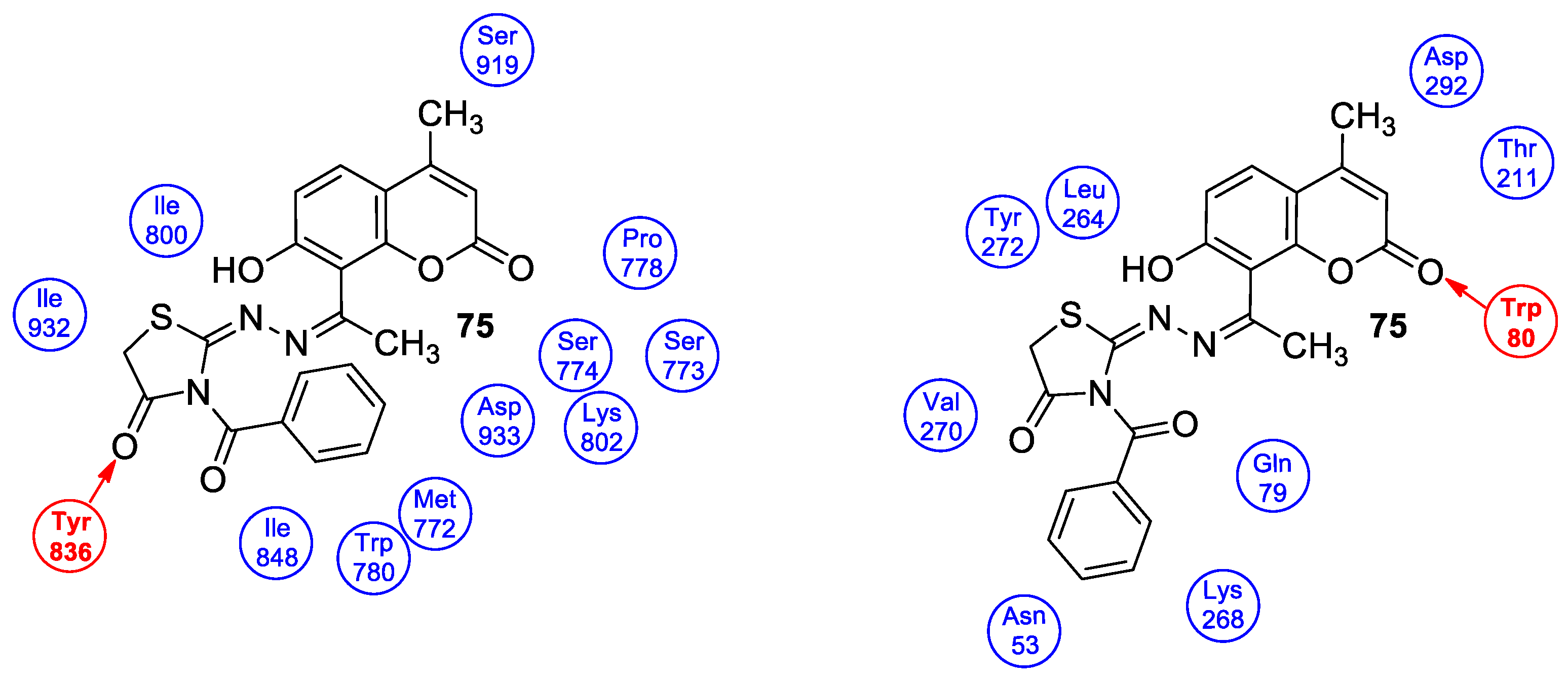 Pharmaceuticals 16 01732 g034 Pharmaceuticals 16 01732 g034