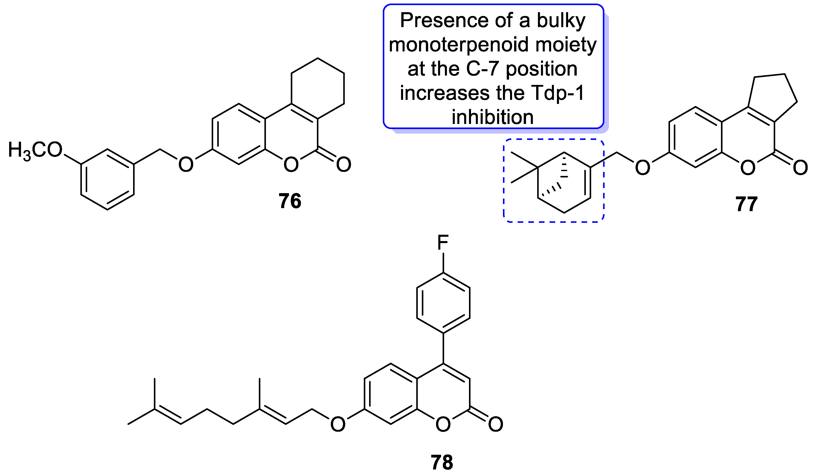 Pharmaceuticals 16 01732 g035 Pharmaceuticals 16 01732 g035