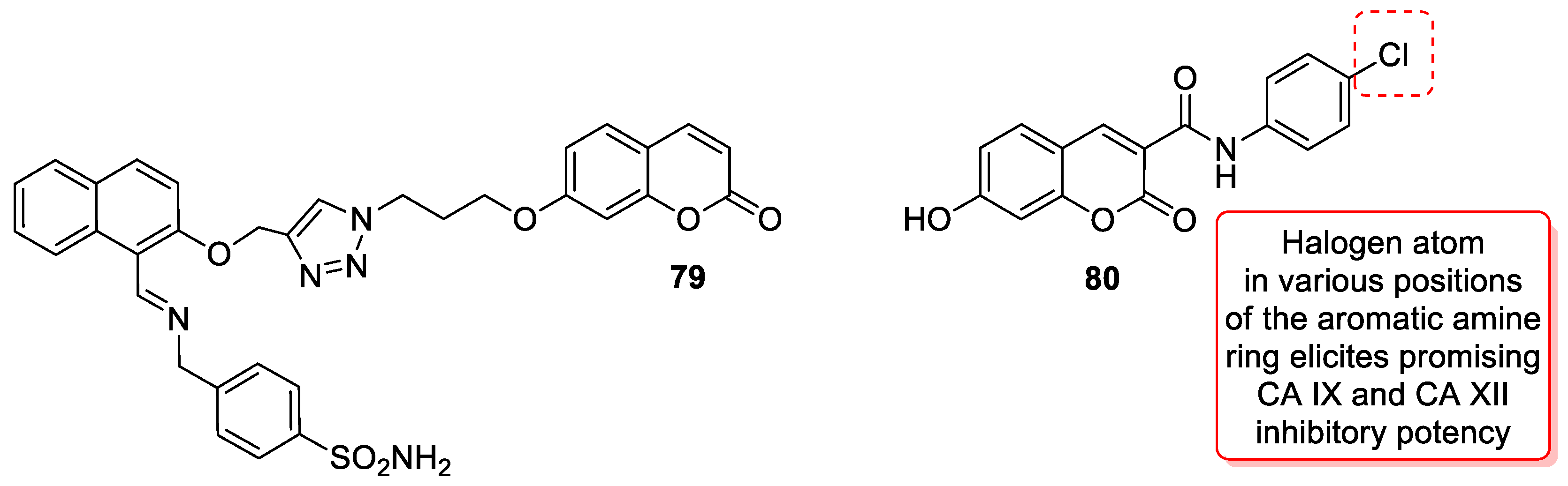 Pharmaceuticals 16 01732 g036 Pharmaceuticals 16 01732 g036