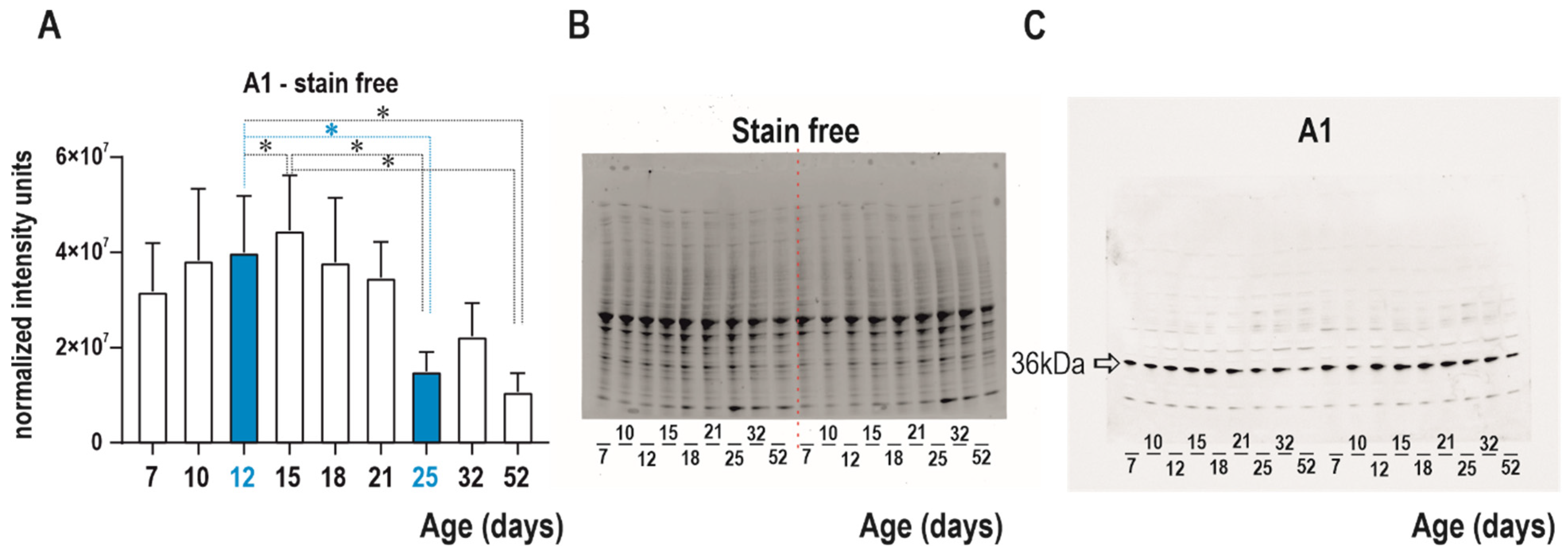 Pharmaceuticals 16 01733 g001